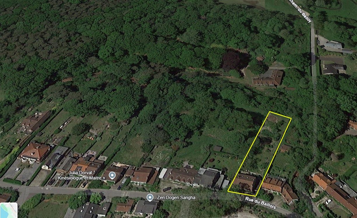 villa-herenhuis met een ziel - achteraan grenzend aan beschermd natuurgebied foto 2