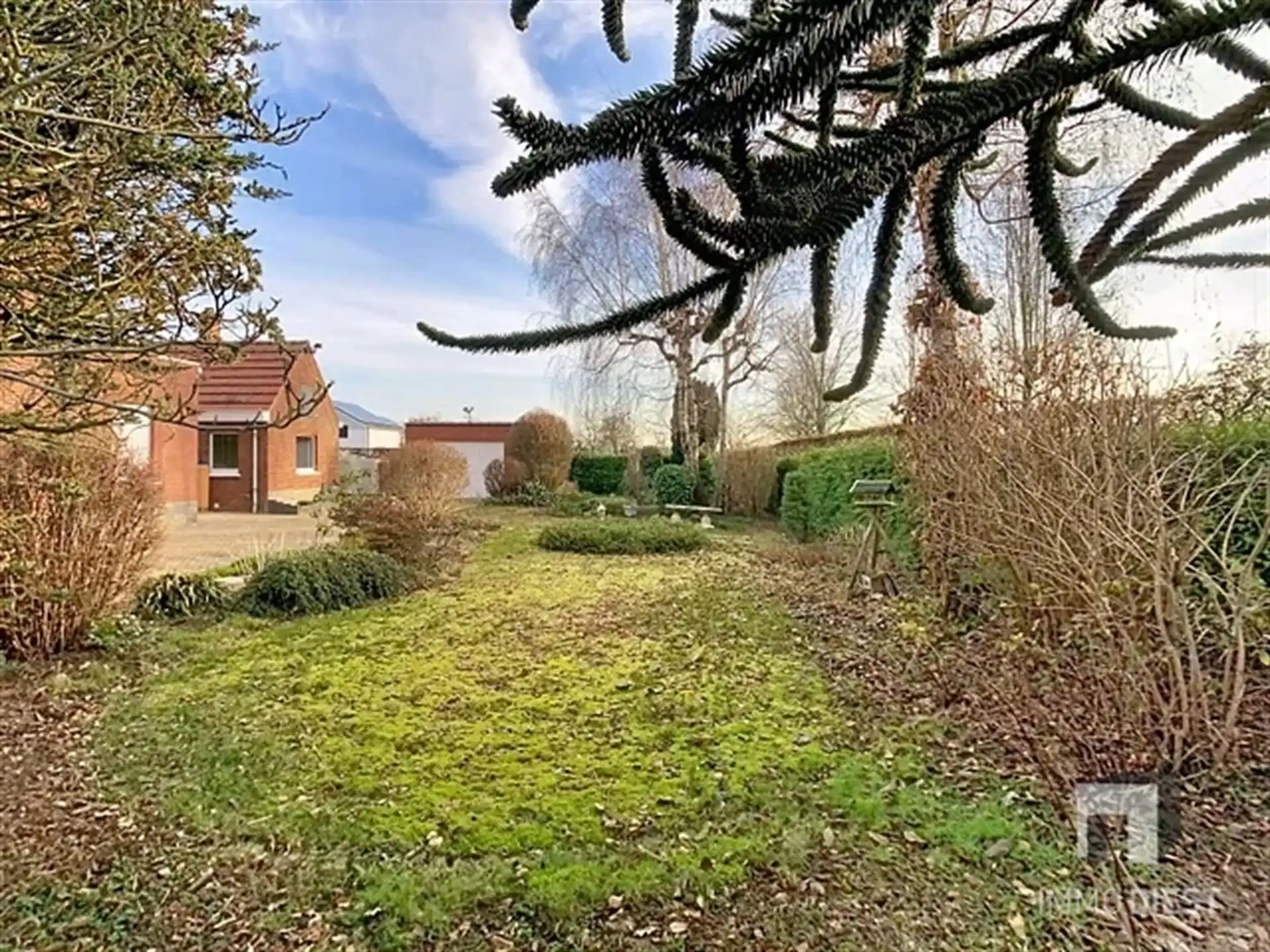 Charmante woning met 3 slpks + bouwgrond foto 3