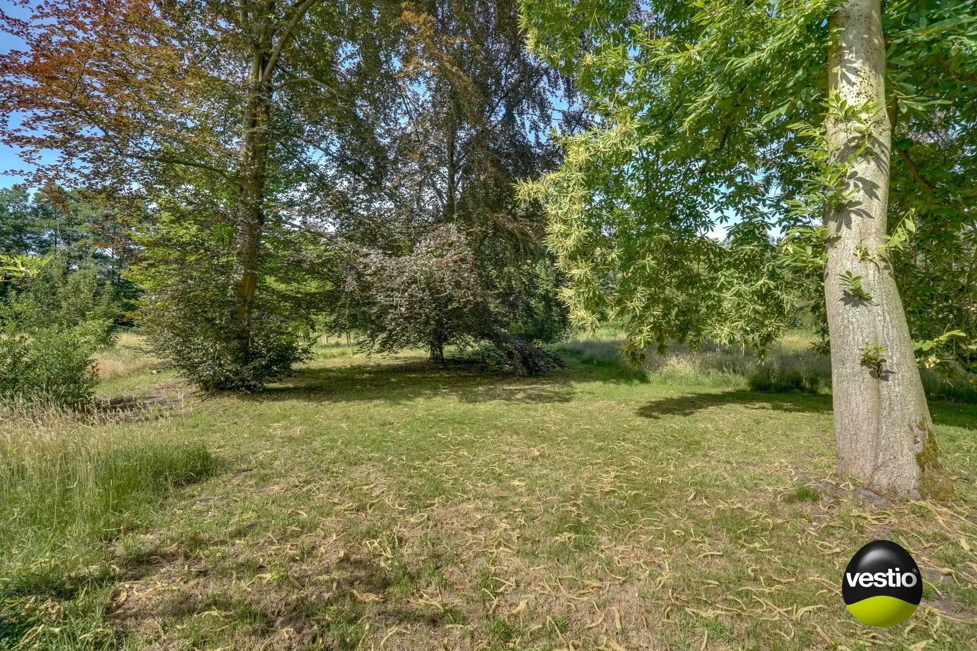 PRACHTIG GELEGEN VAKANTIEWONING OP 56 ARE foto 15
