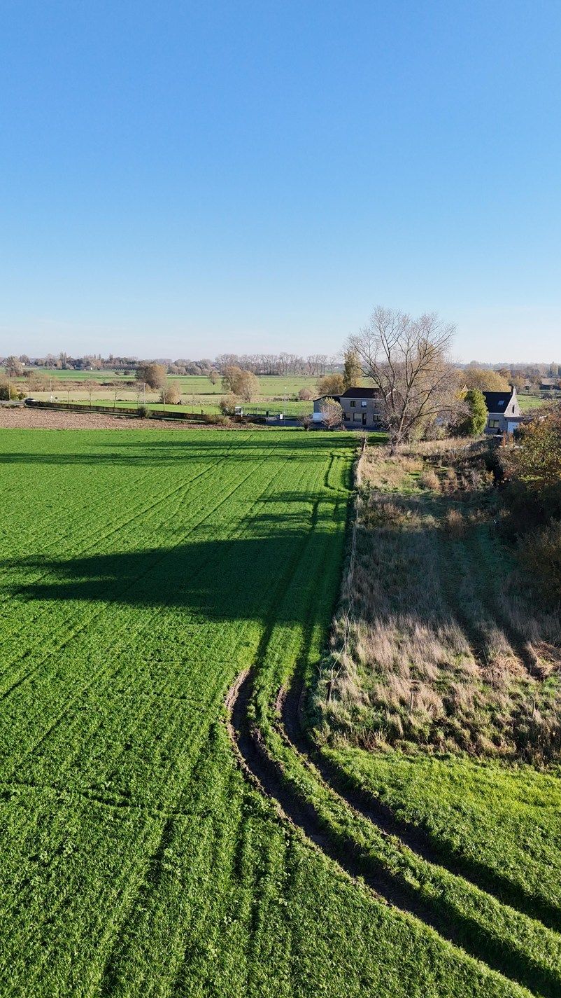 Bouwgrond te koop met uitzonderlijk zicht op de Broucken te Zarren foto 12