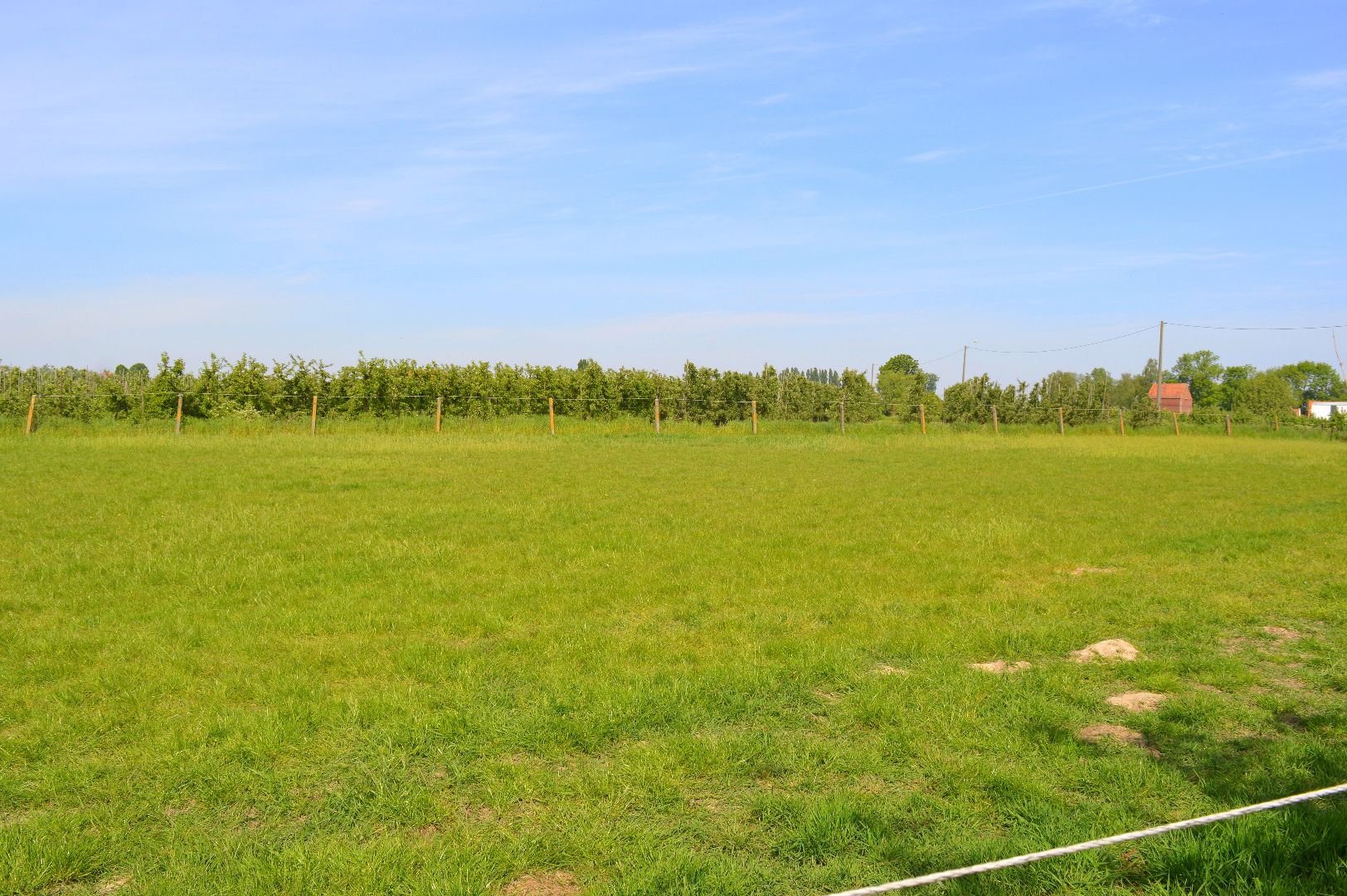 Te renoveren of herbouwen woonst met commerciële functie én aanliggende weidegrond foto 8