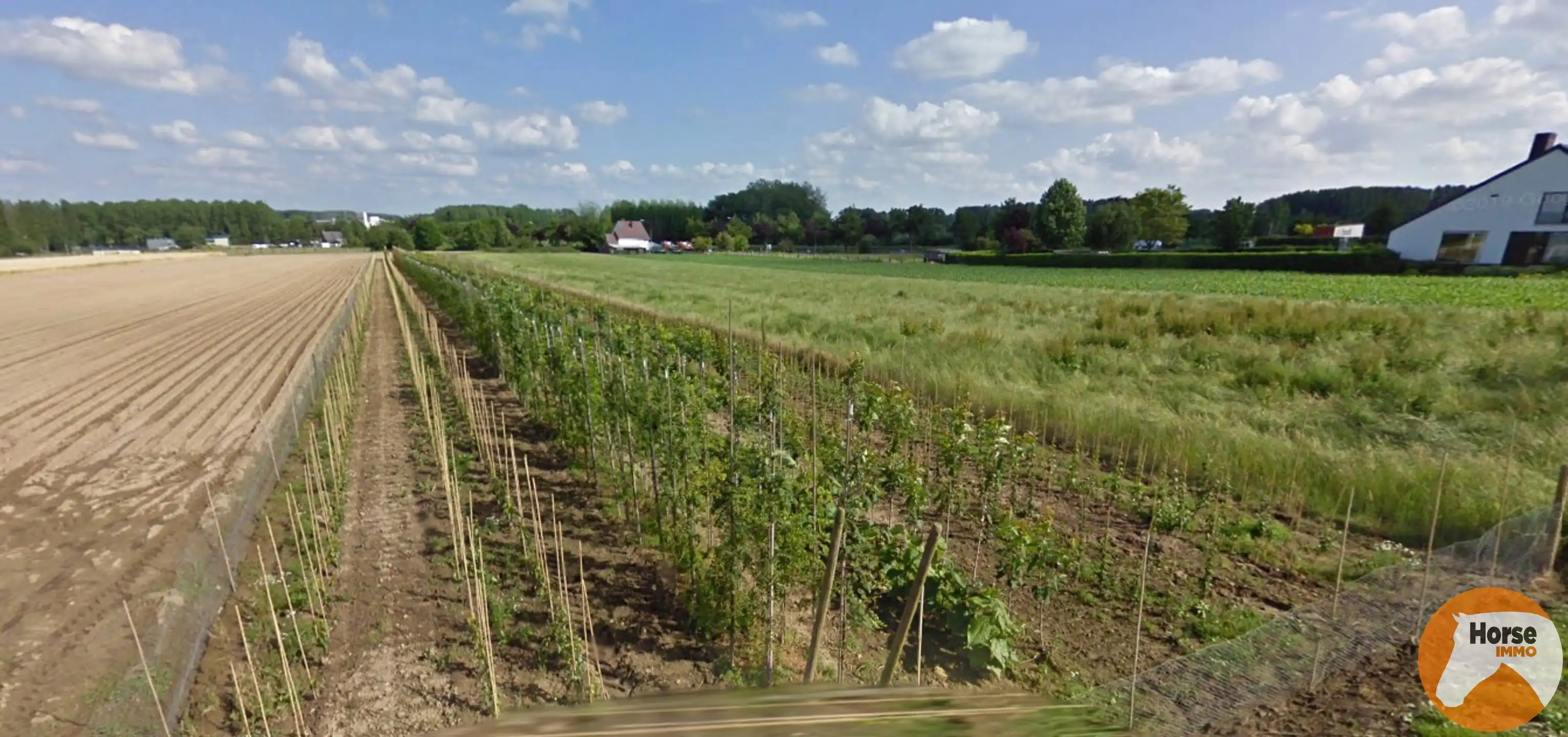 OORDEGEM - Landbouwgrond op 22a 30ca foto {{pictureIndex}}