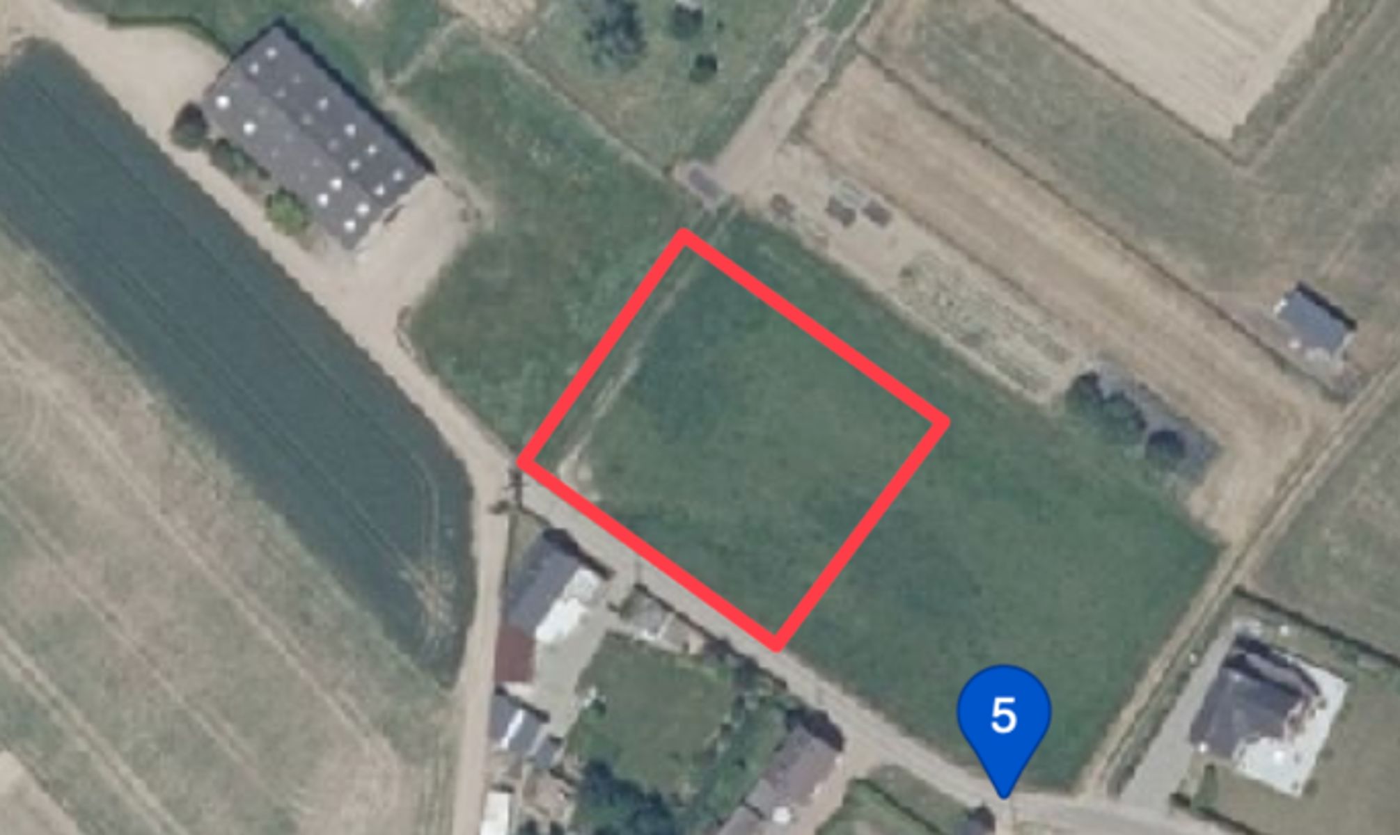 Goed gelegen weidegrond te koop! foto 3