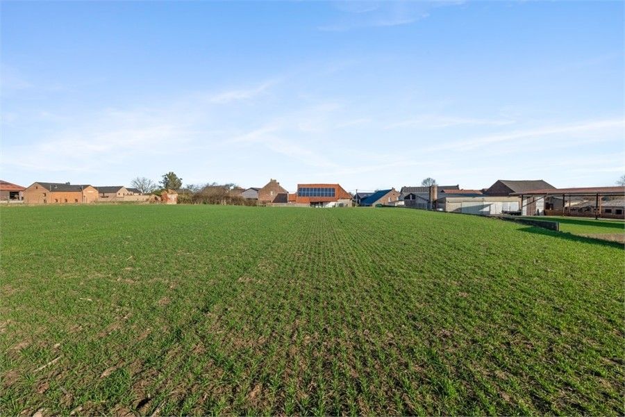 VOLLEDIG TE RENOVEN WONING MET OPSLAGRUIMTE OP EEN PERCEEL VAN MAAR LIEFST 69A20CA IN HORPMAAL foto 36