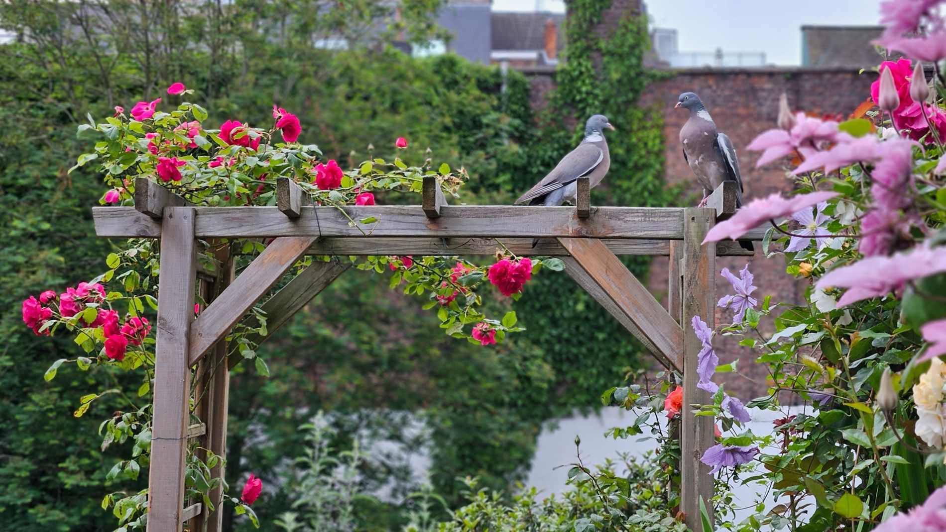 Authentiek wonen met een vleugje grandeur foto 14