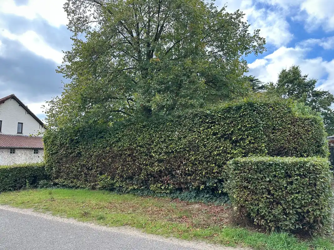 Prachtige ZW gerichte bouwgrond van 941 m² met volwassen tuin. foto 2