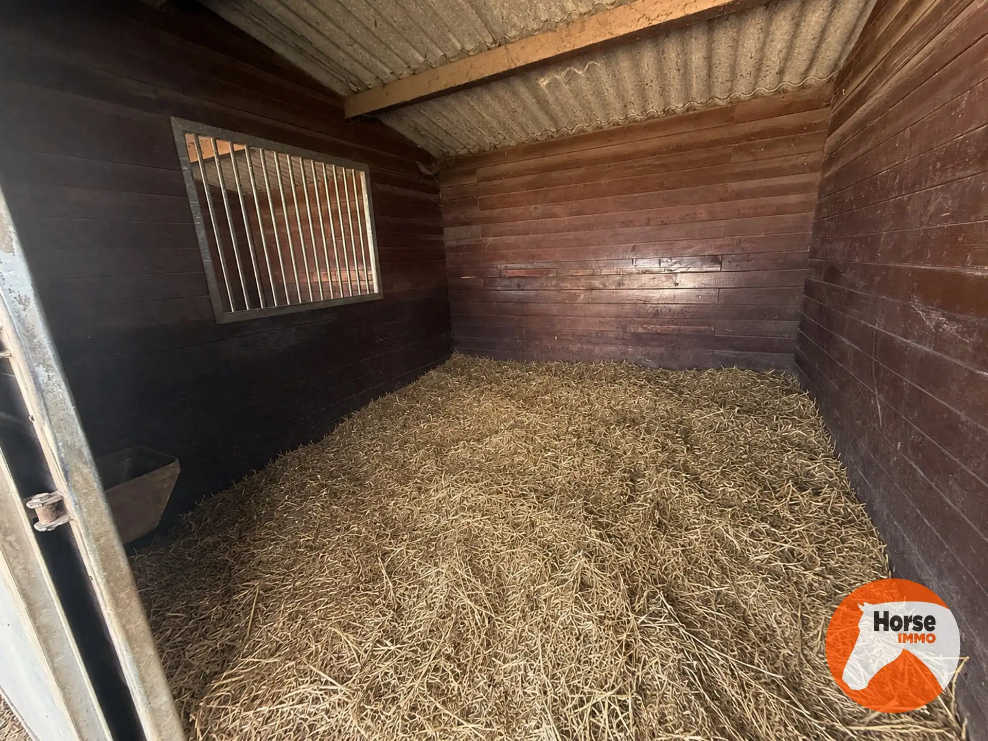 ASSE - Paardenaccommodatie op 1,07ha met 3 vergunde stallen foto 4