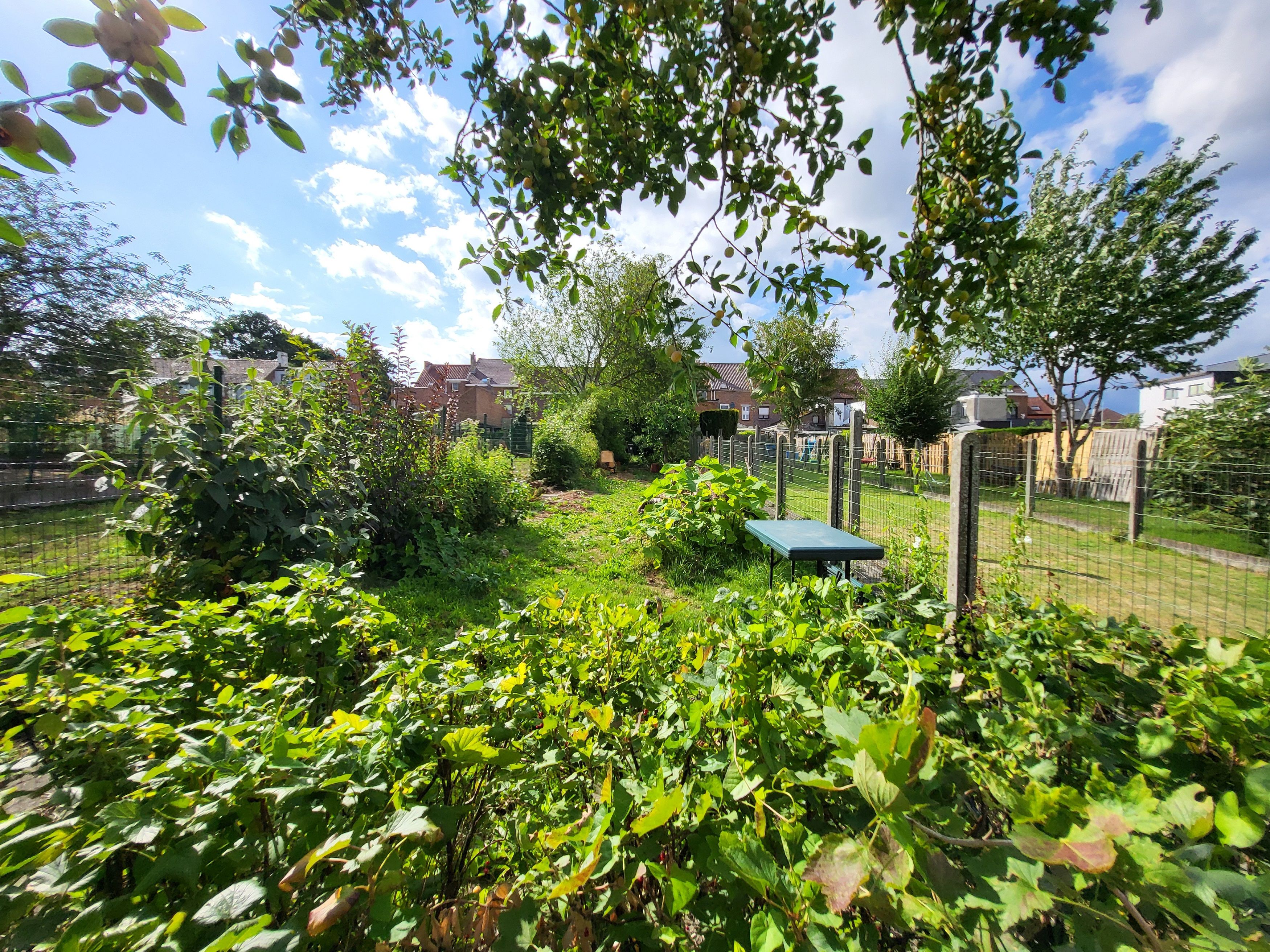 Prachtig gerenoveerde burgerwoning op wandelafstand van het centrum met zuidgerichte tuin.  foto 30