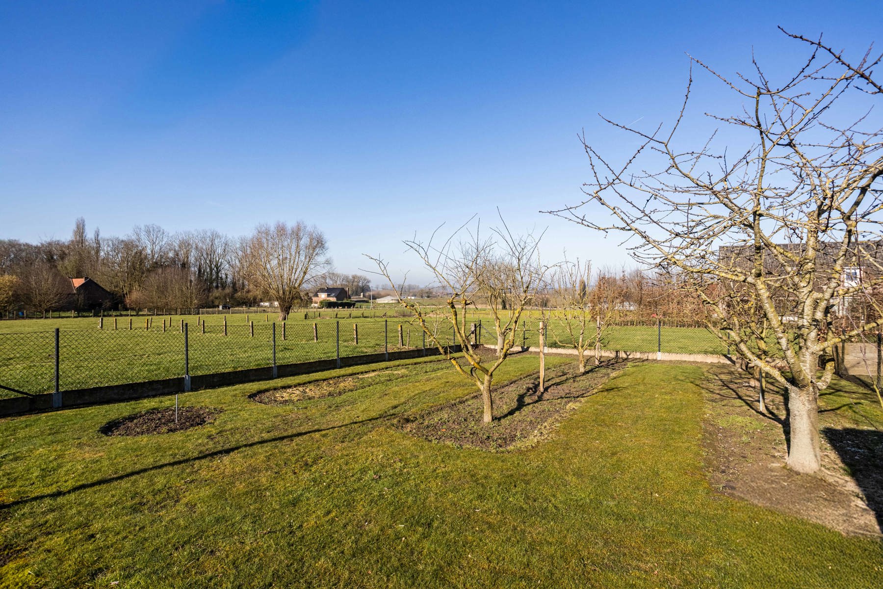 Project "Hoeve" met twee woonentiteiten + weiland foto 19