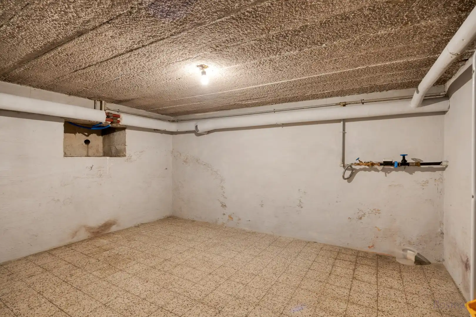Gelijkvloerse woning te koop in Tessenderlo foto 24