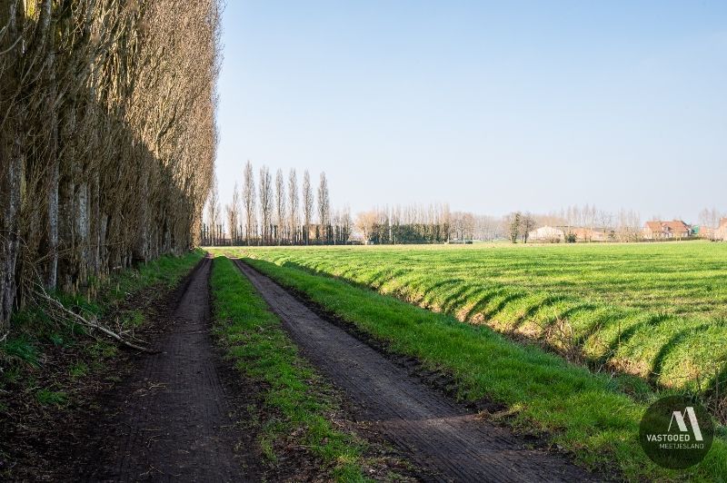 UNIEK gelegen hoeve op 7.290m² in Maldegem foto 7