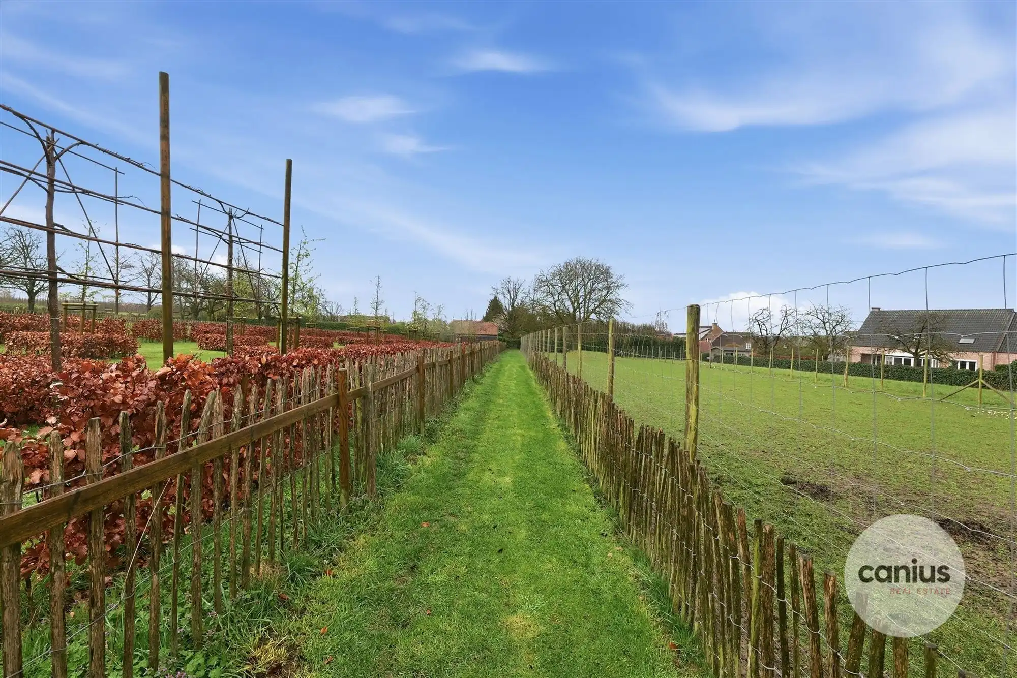 UITZONDERLIJKE WONING MET ZWEMBAD – MOGELIJKHEID ZELFSTANDIG BEROEP foto 34