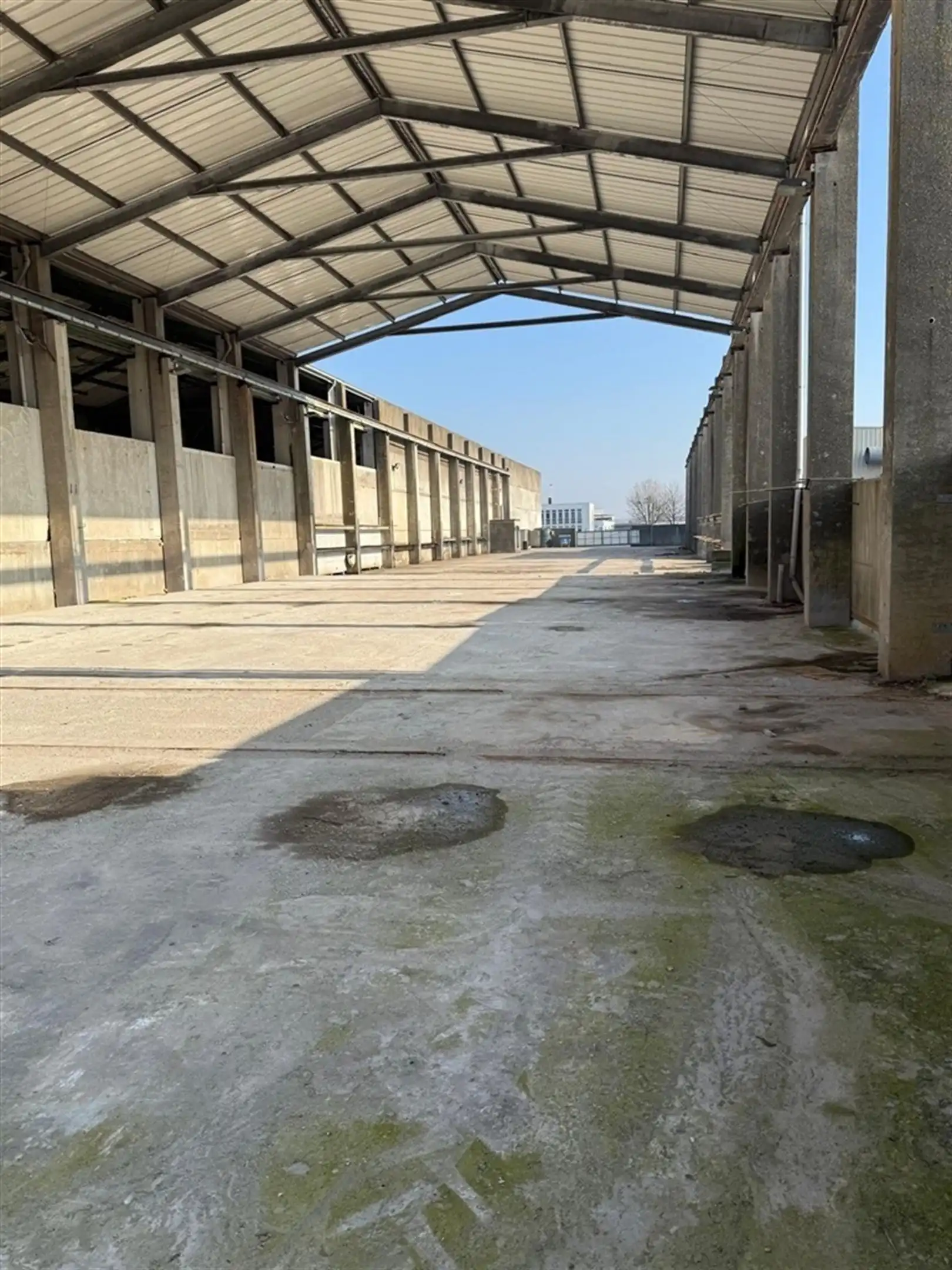 Te huur veelzijdig bedrijfsgebouw te Aalter foto 3