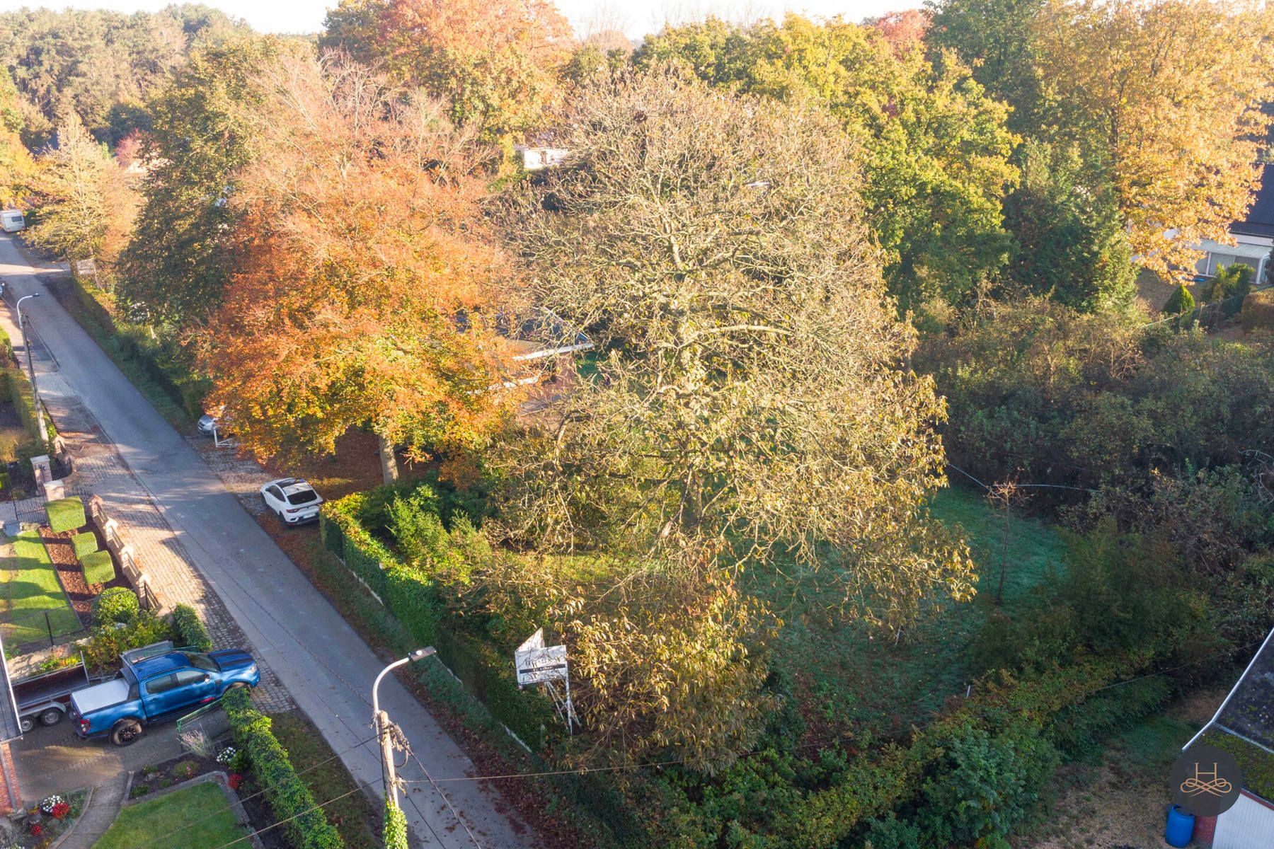 Zeer ruime bouwgrond in rustige, groene buurt  foto 8