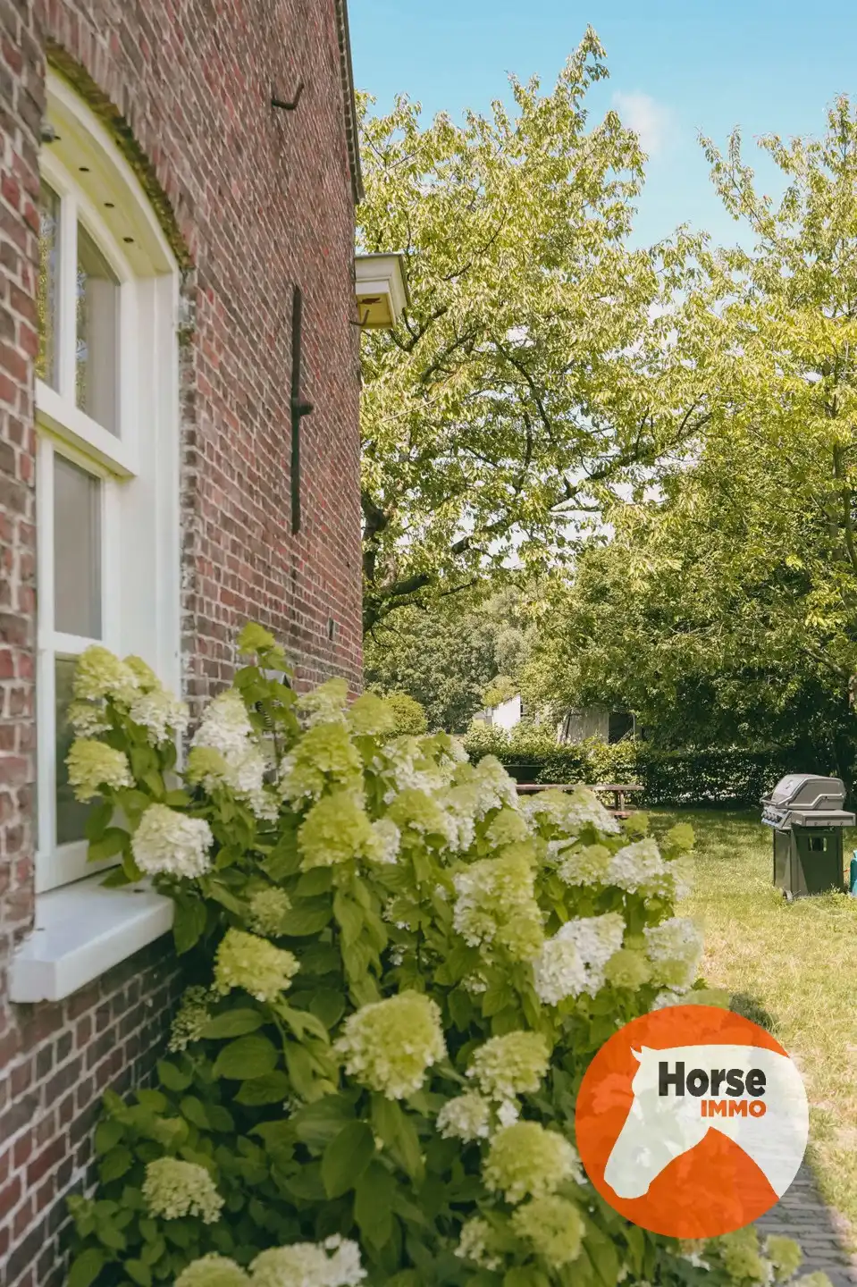 AXEL - Hoeve op een goede locatie met paardenfaciliteiten foto 6