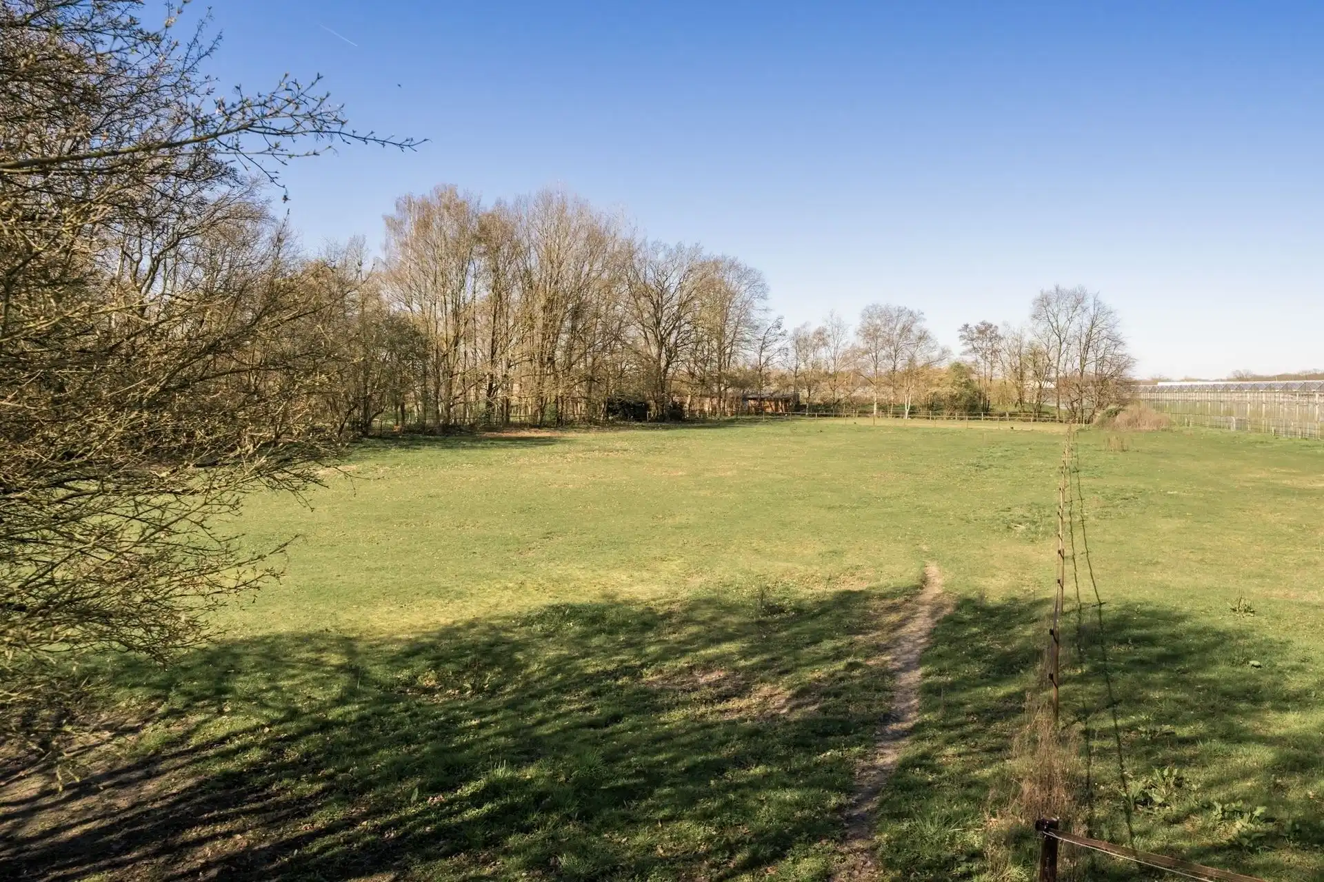 Exclusieve villa met paardenfaciliteiten  foto 5
