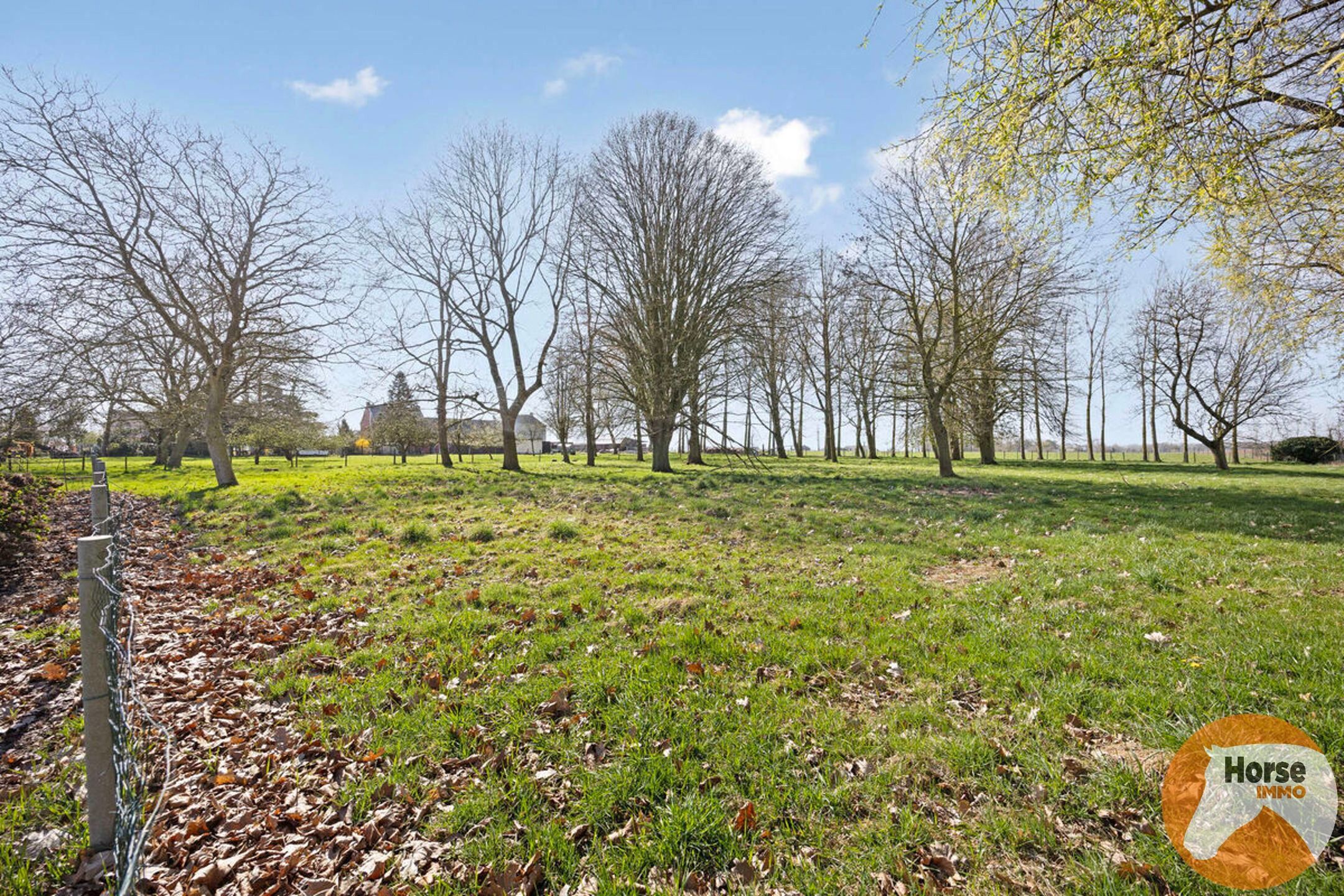WOUBRECHTEGEM- Karaktervolle renovatiewoning op 1ha 25a 50ca foto 32