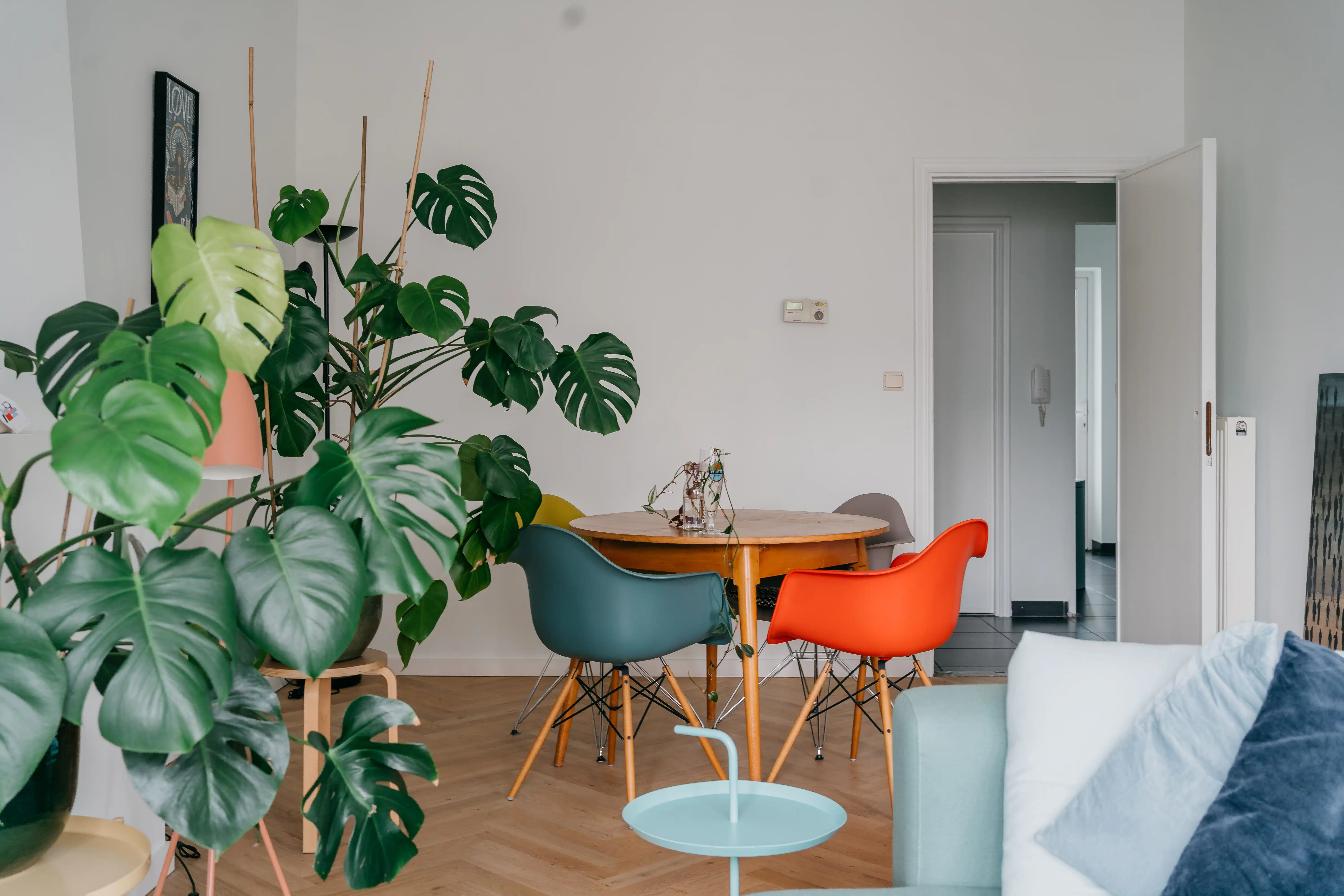 Fifty shades of green appartement in de wijk Groenenhoek in Berchem foto {{pictureIndex}}