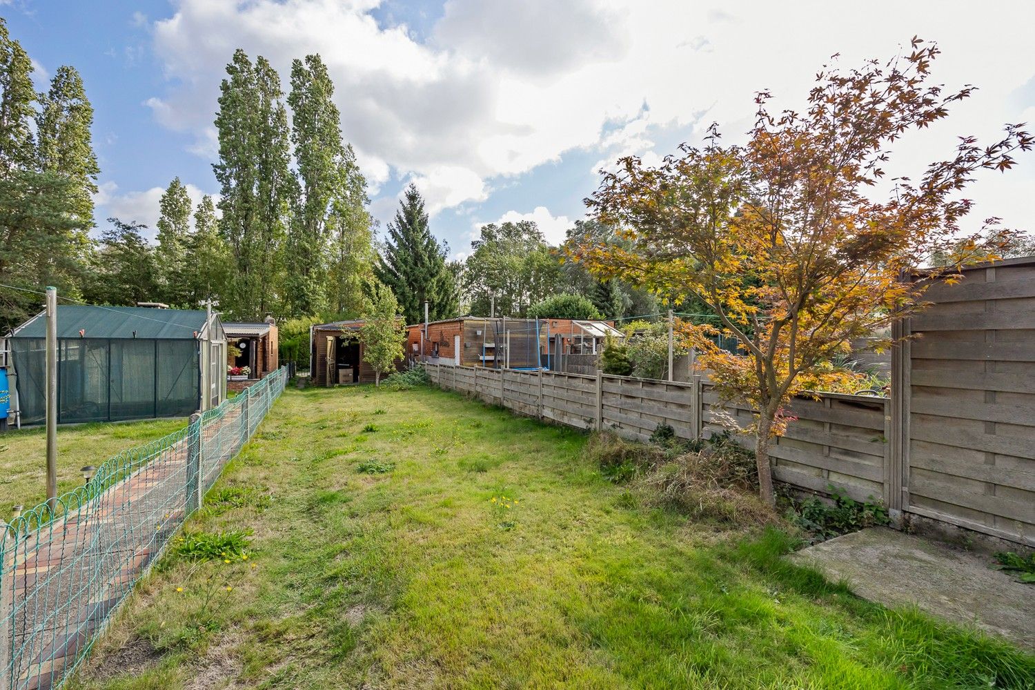 Ruime gezinswoning met 4 slaapkamers, prachtige tuin en garage in Boom foto 9