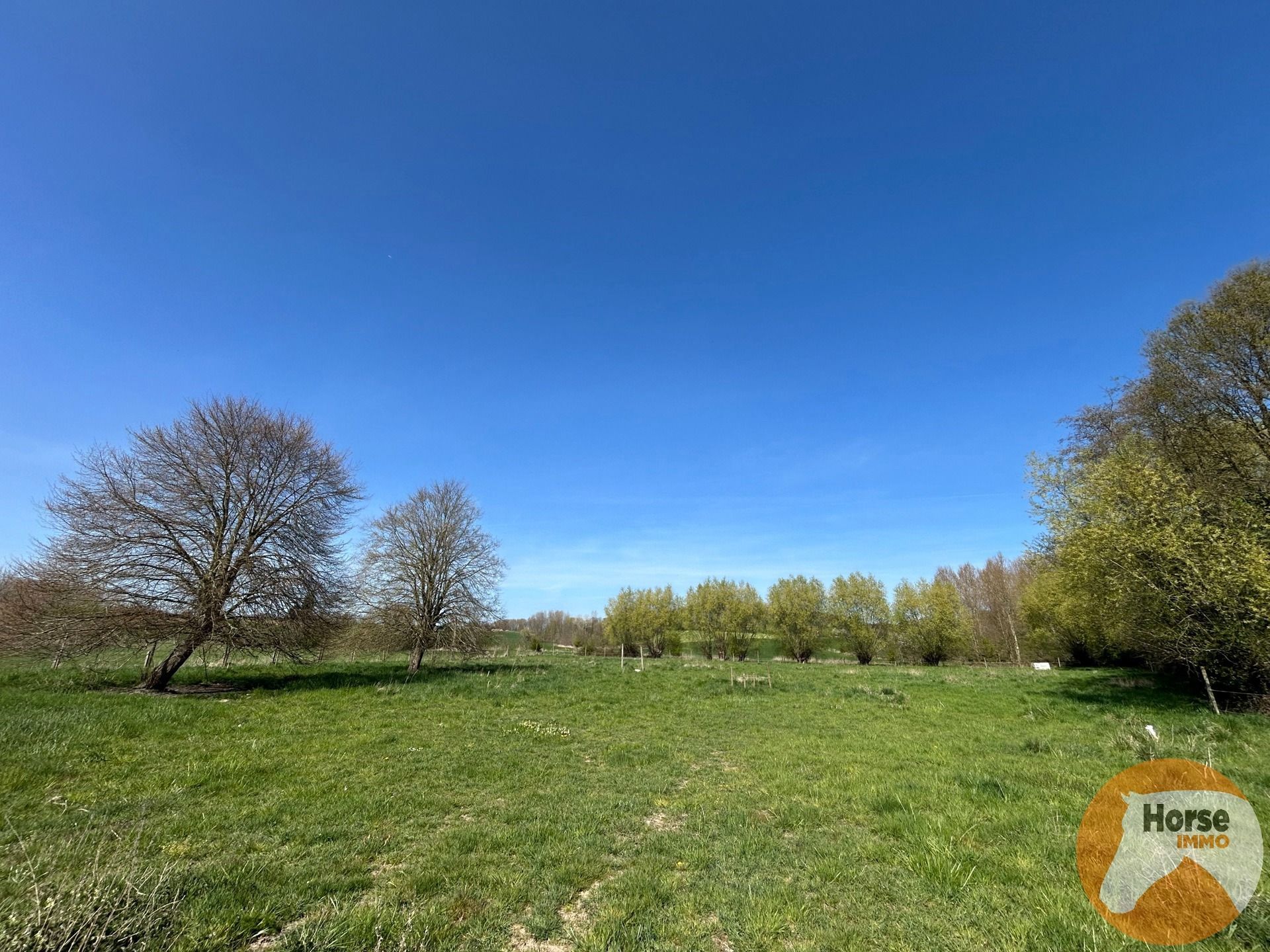 TOLLEMBEEK - Weide met loods op rustige locatie foto 13