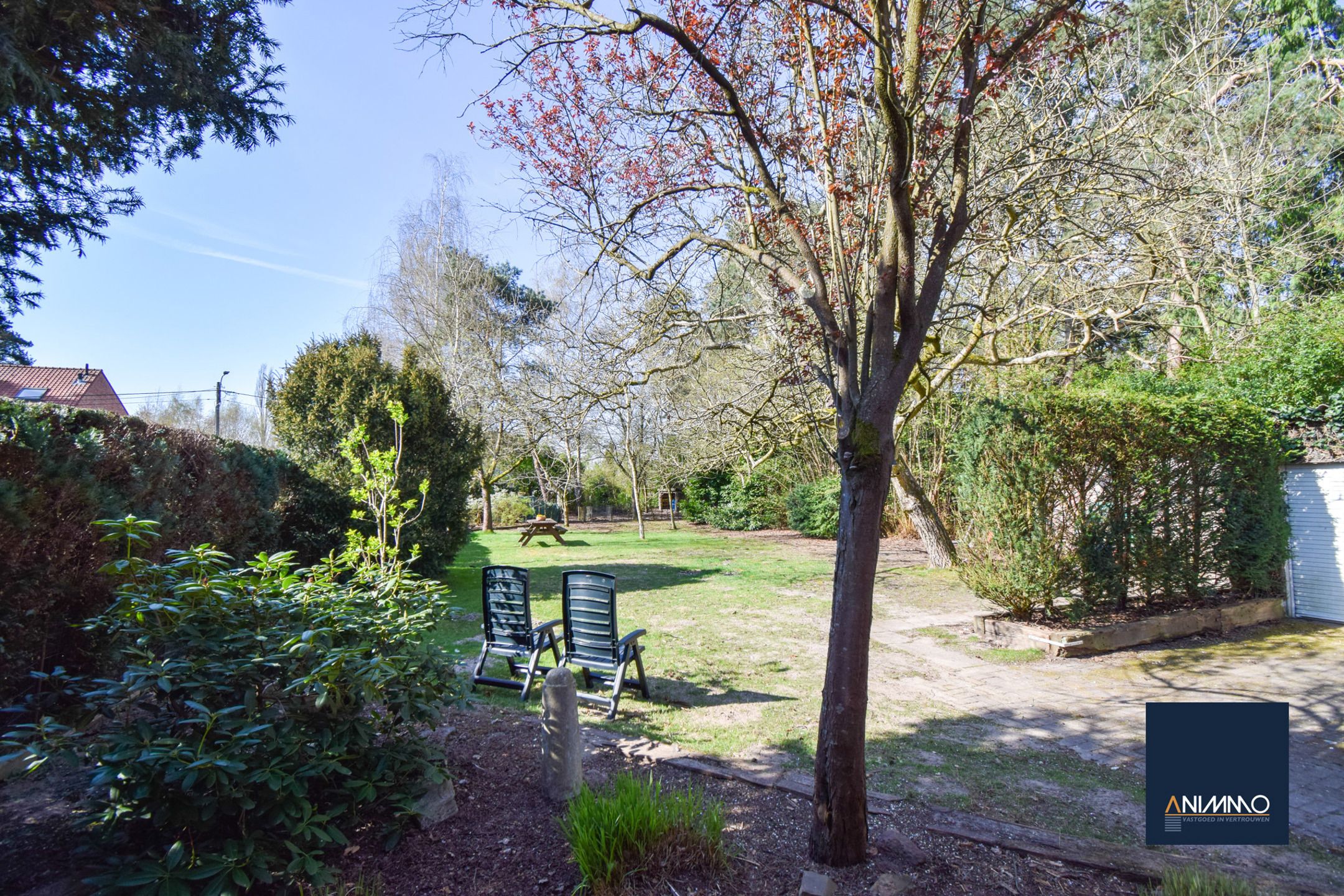 Huis te koop foto 35
