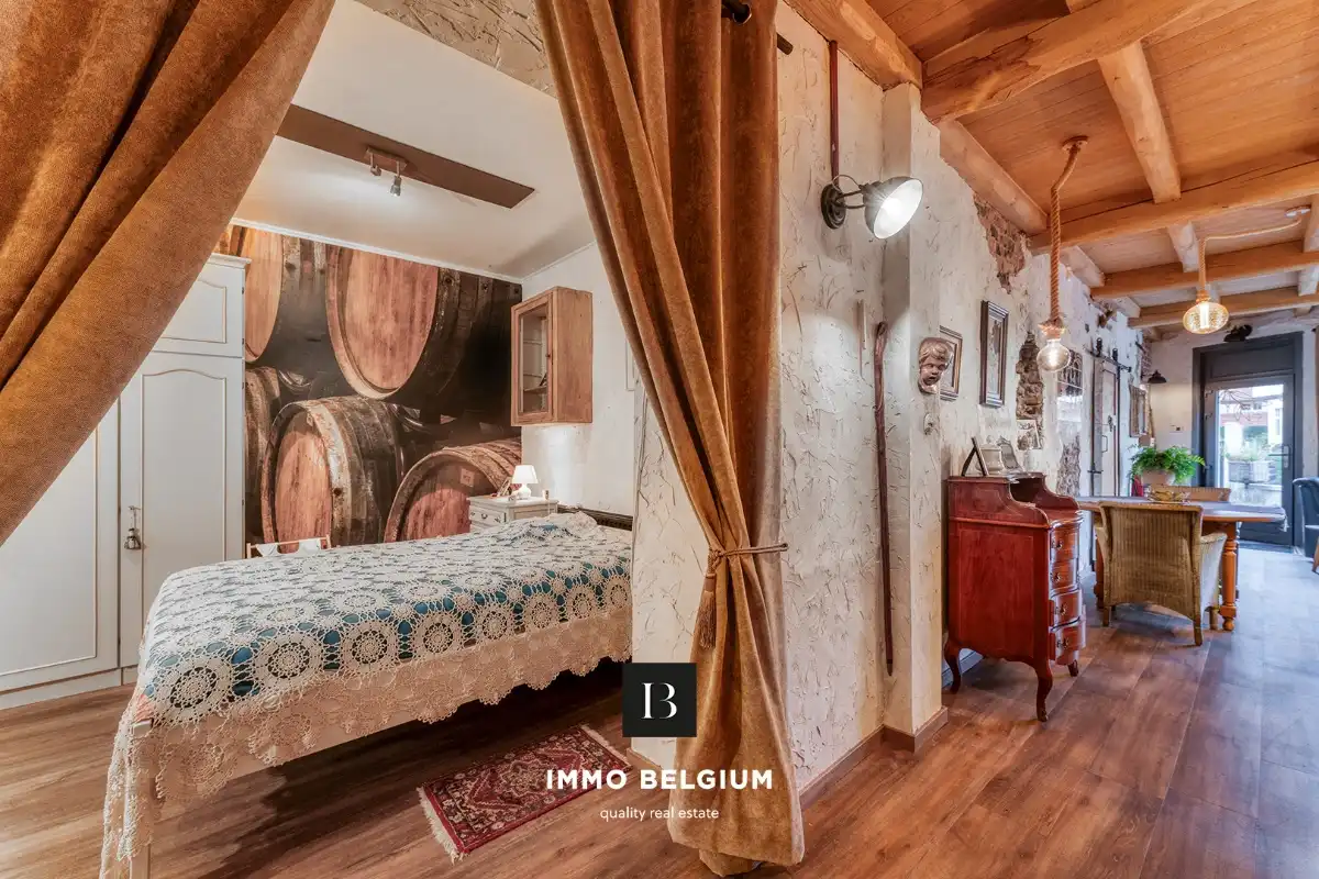 Gerenoveerde eigendom in de Concessie foto 8