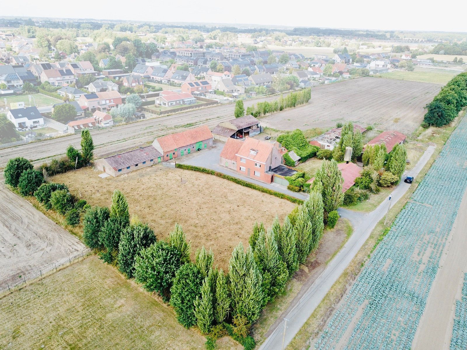 Te renoveren hoeve op crica 1 ha op GOEIE ligging! foto 4