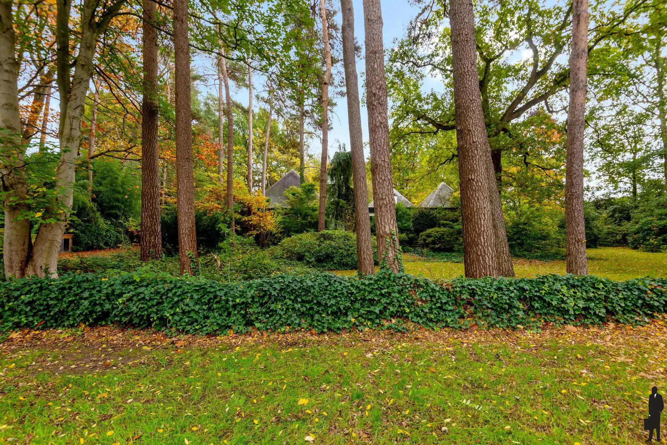 Verscholen in de natuur, in 1 van de mooiste lanen van Vriesdonk, rustig en residentieel: Architectenwoning op ca. 5.710 m².  foto 9