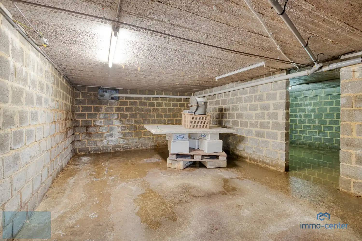 Ruime gezinswoning met tuin aan natuurgebied De Caetsweyers. foto 29