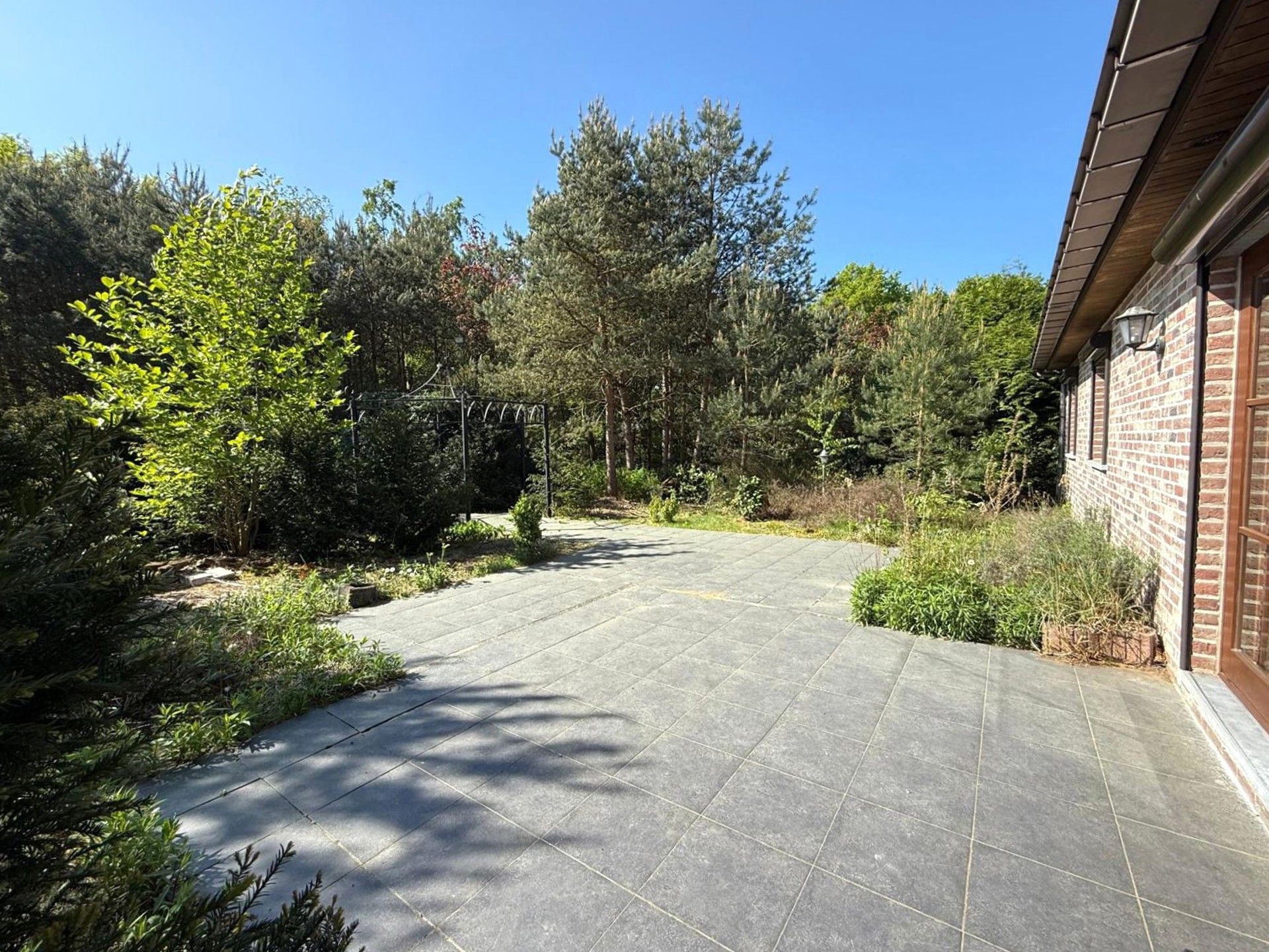 Ruime woning met veel grond foto 20