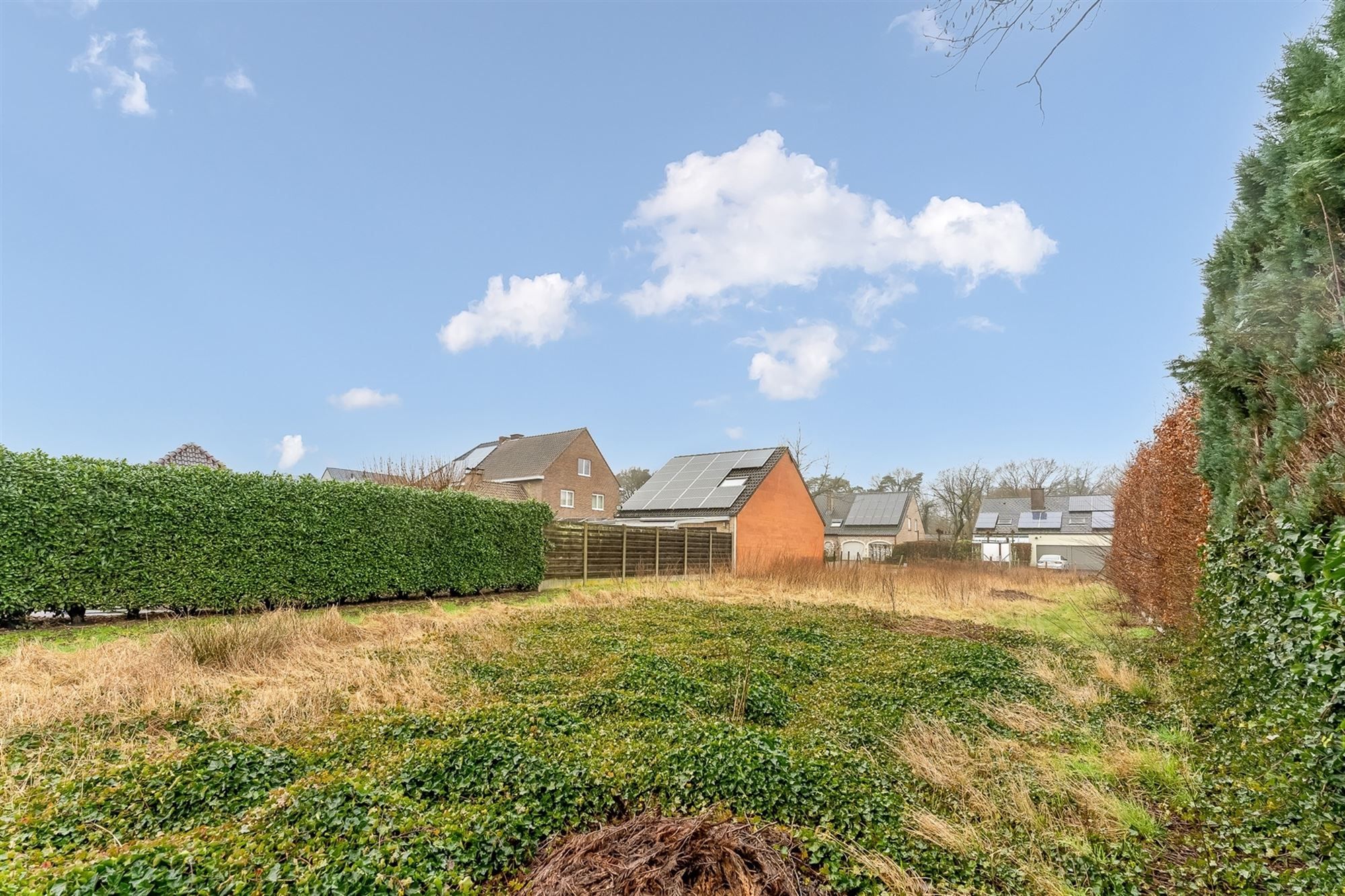 ZUIDELIJK GEORIËNTEERDE BOUWGROND VOOR HOB VAN 1045M² foto 9