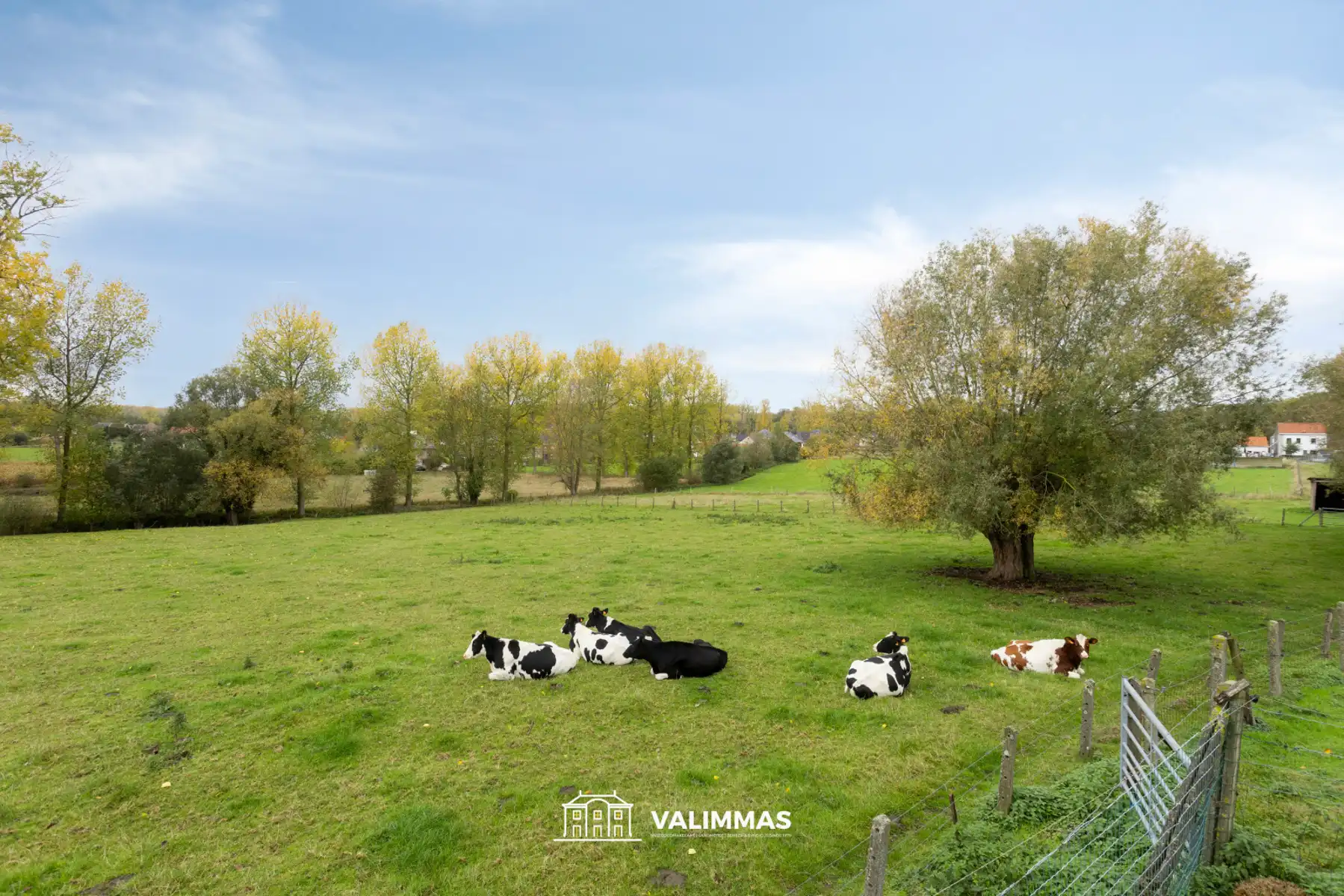 Prachtig gelegen gerenoveerde driegevelwoning met grote tuin foto 24