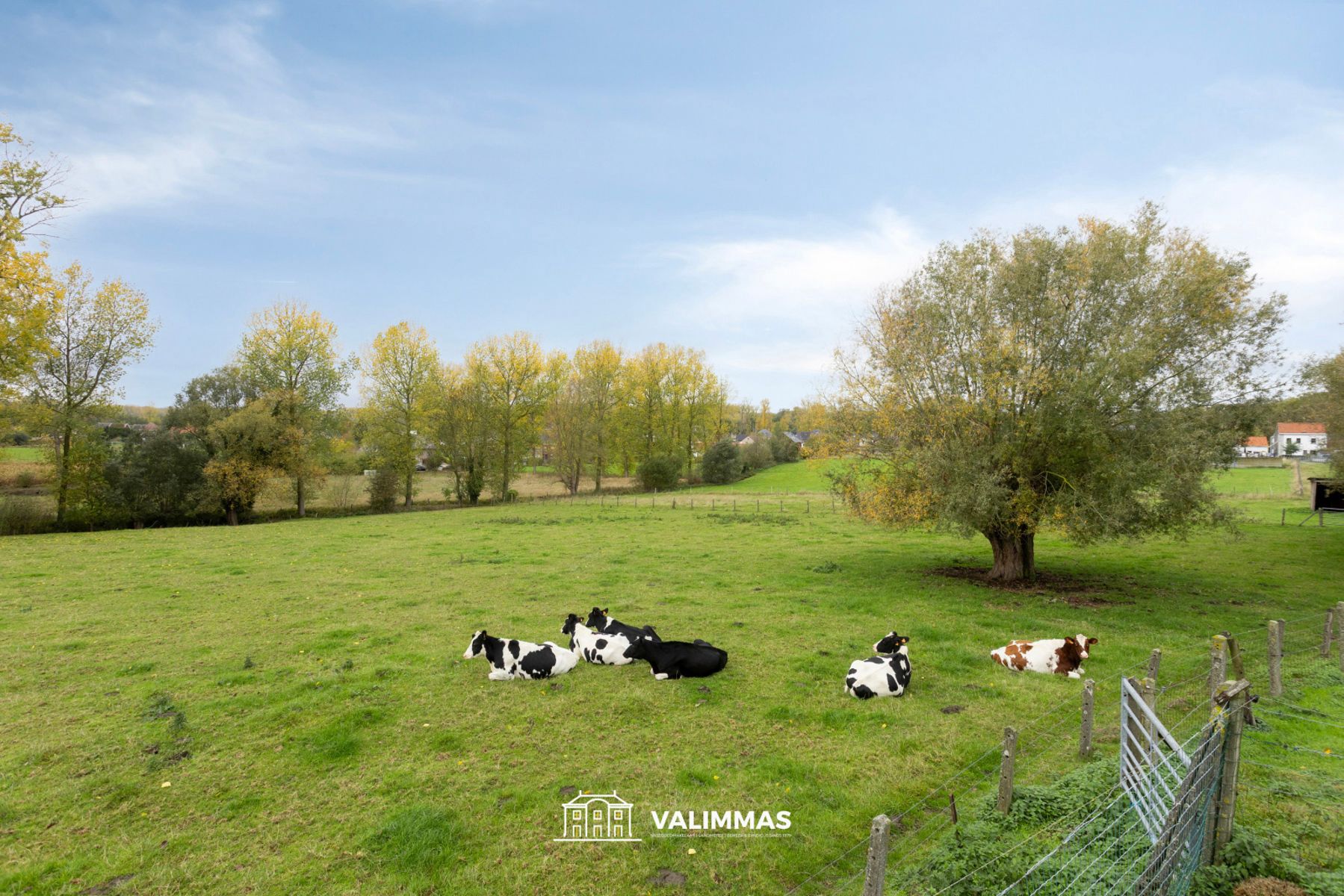 Prachtig gelegen gerenoveerde driegevelwoning met grote tuin foto 24