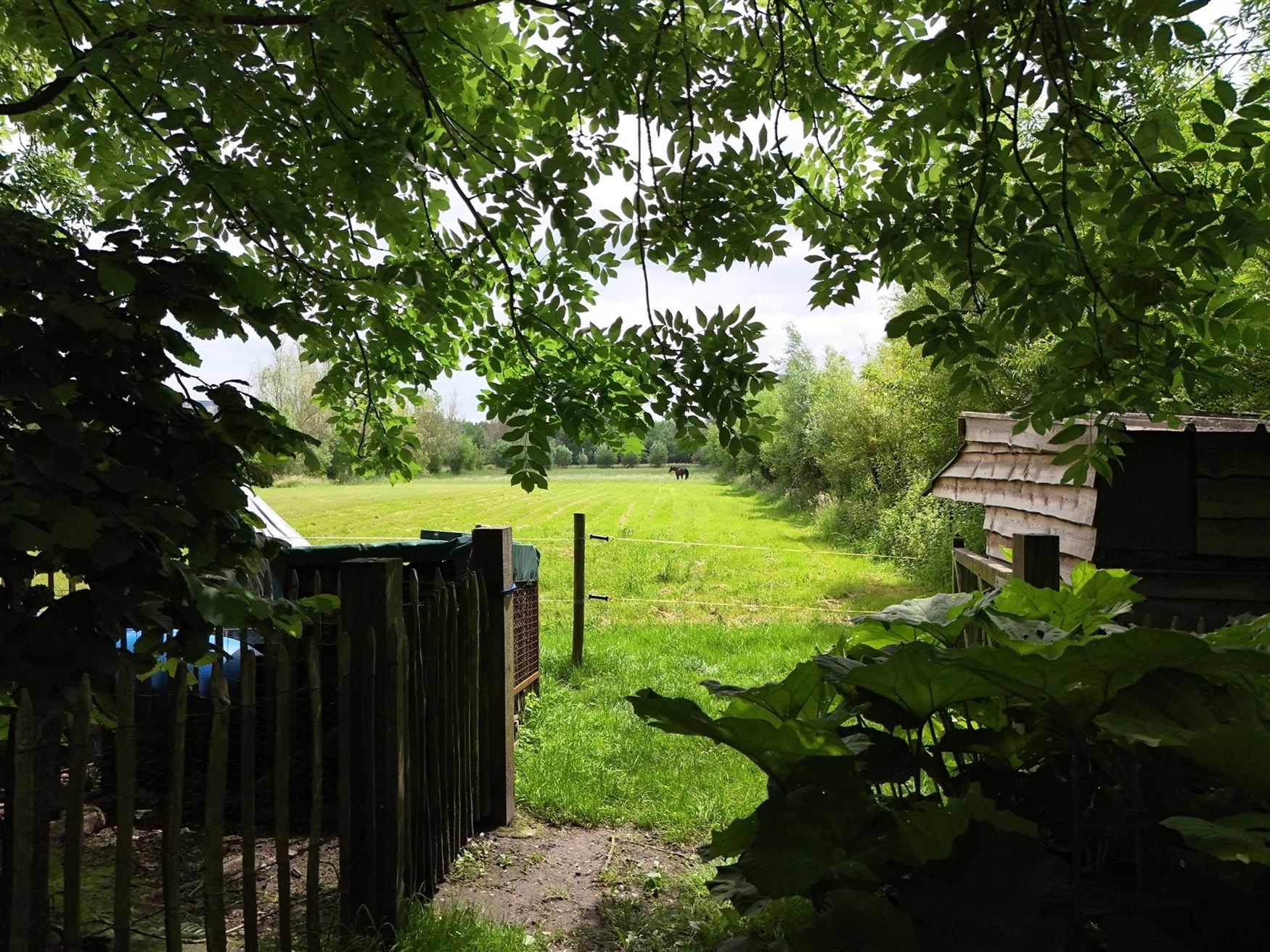 Mooie gezinsvilla met zonnige tuin en weide foto 25