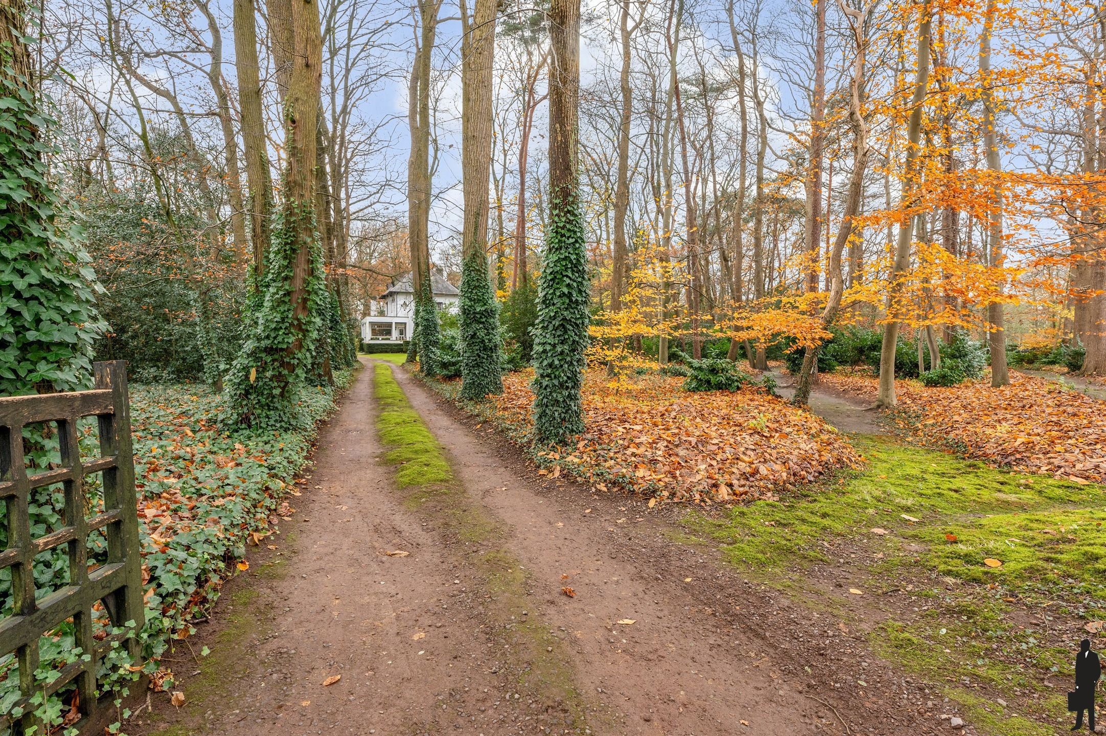 Uiterst charmante villa op een rustige en groene locatie met volledige privacy! foto 28