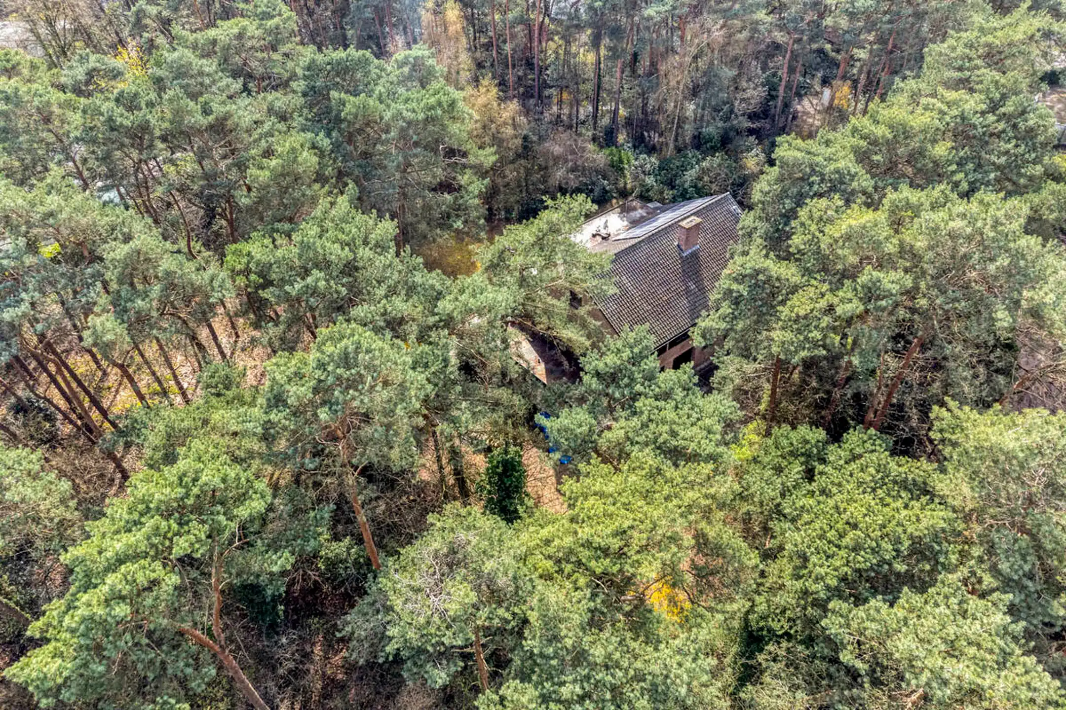 Uniek groen gelegen landhuis met eventuele praktijkruimte foto 8