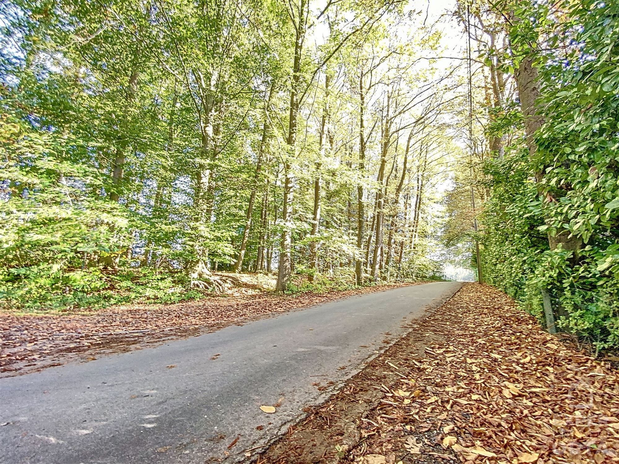 Te koop: Prachtig gelegen stuk grond gelegen in woongebied met landelijk karakter bestemd voor open bebouwing foto 8