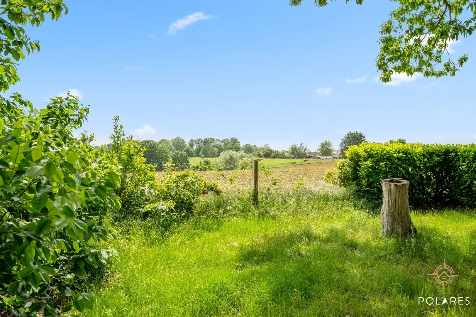 Charmante vrijstaande woning midden in het groen – unieke ligging op 27a 64ca foto 23