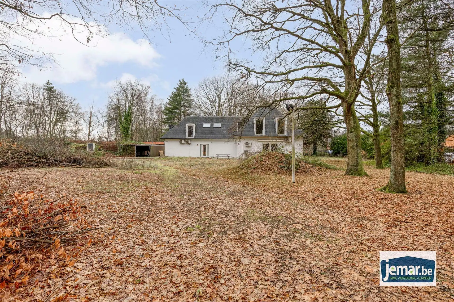 Villa met professionele opslagruimte, kelder en kantoorruimtes. foto 13