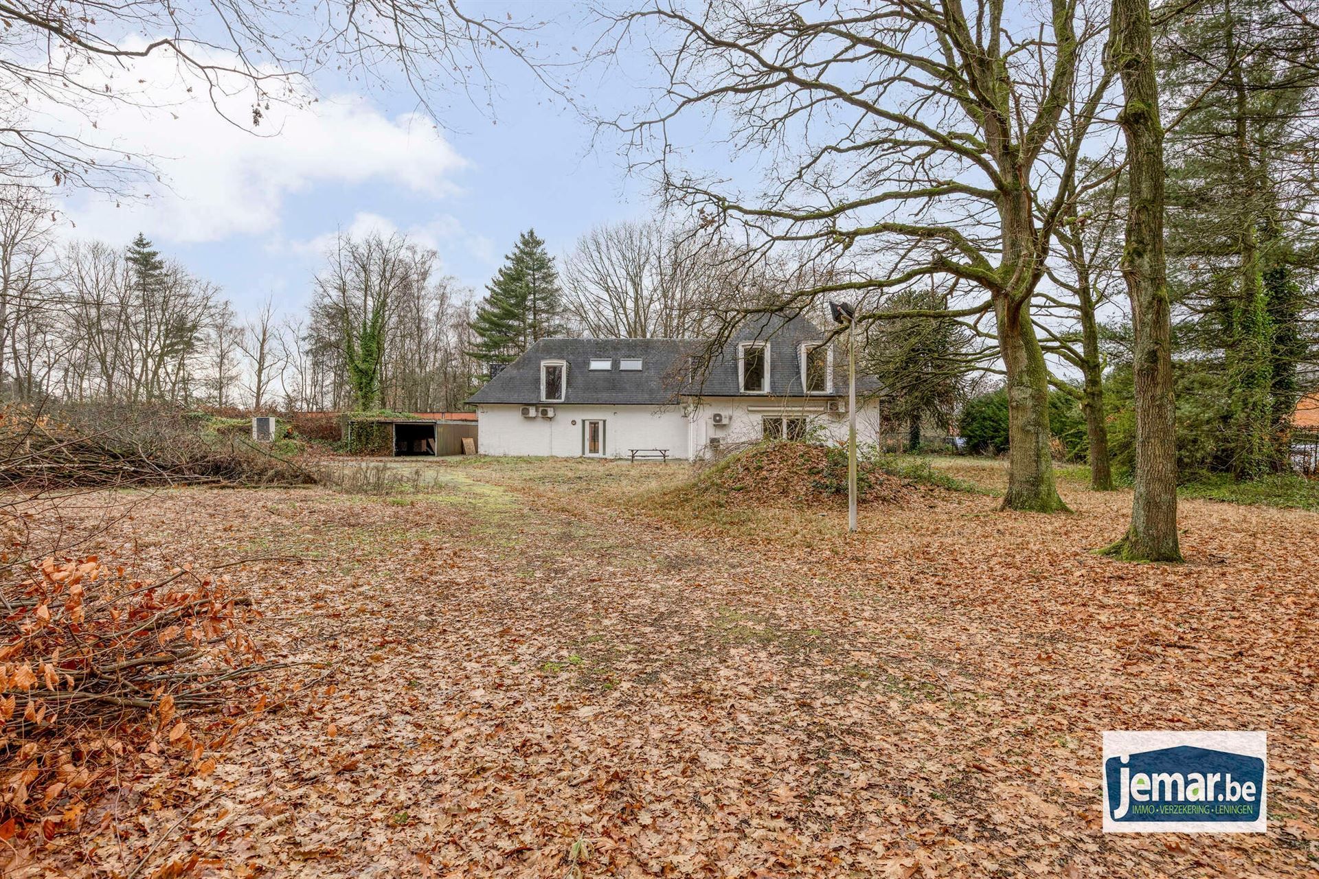 Villa met professionele opslagruimte, kelder en kantoorruimtes. foto 13