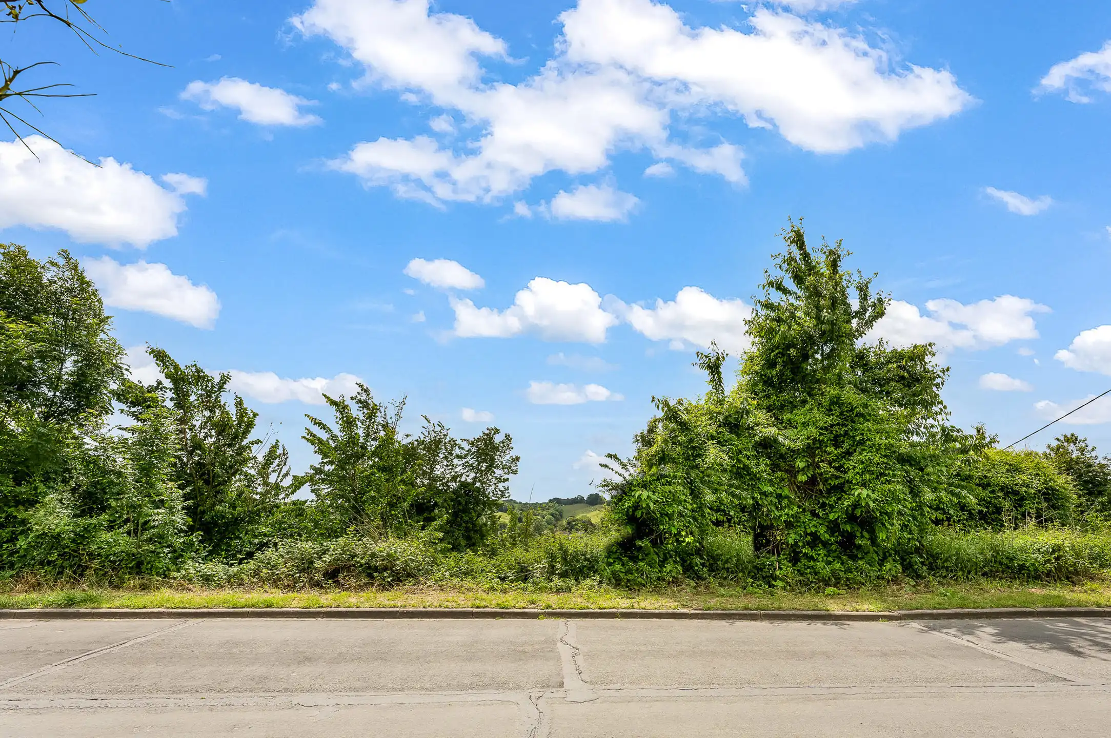 Vrijstaande bouwgrond met verzicht en vergunning foto 2