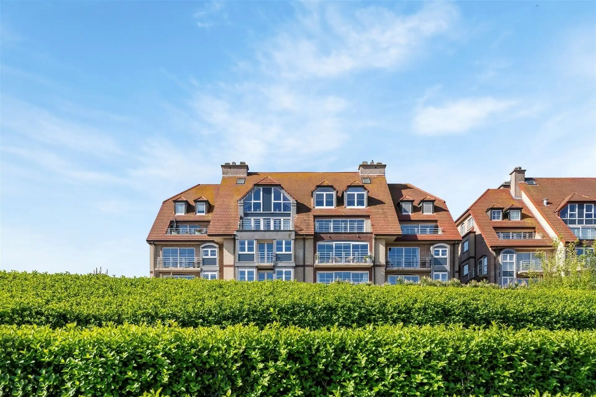 WIJDS UITZICHT / TERRASSEN  foto 32