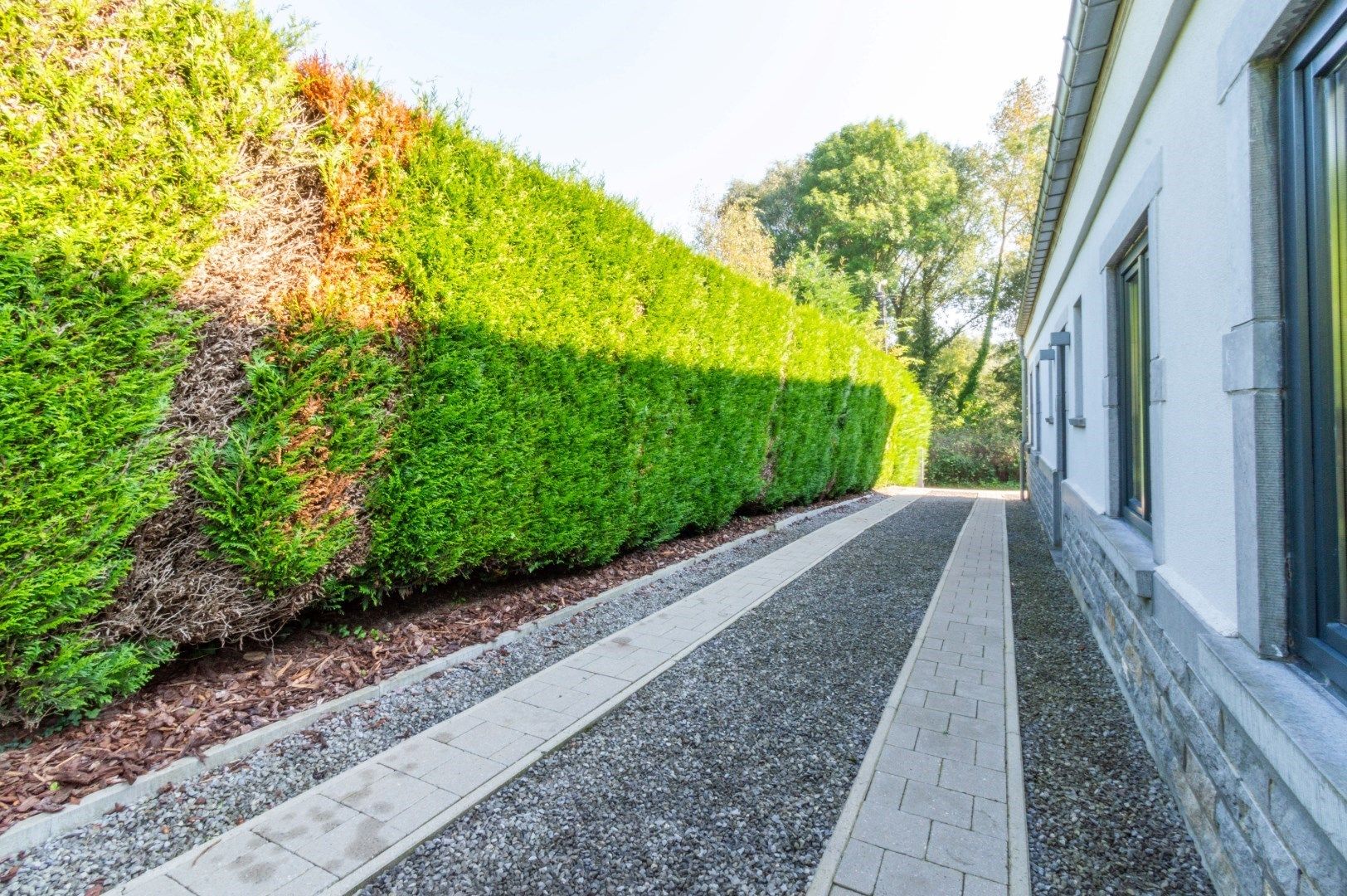  Ruime en integraal vernieuwde villa met zuid-tuin ! foto 7