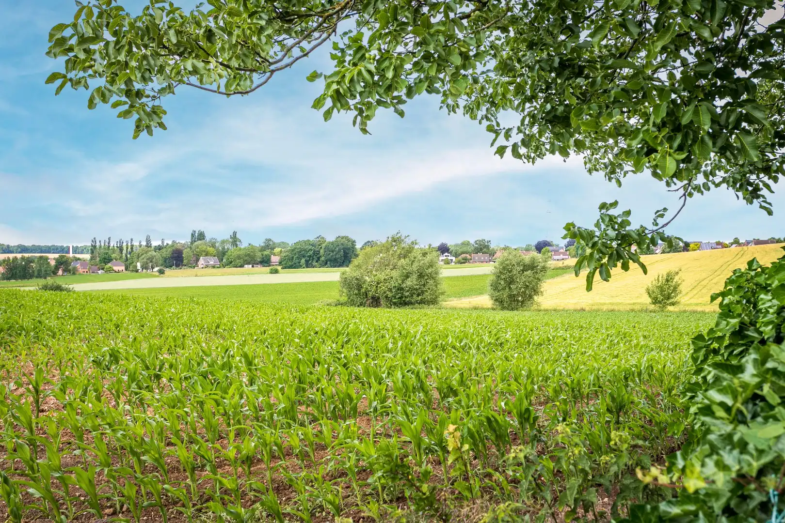 Verzorgde 3-gevelwoning met 3 slpk en tuin te Halle foto 22