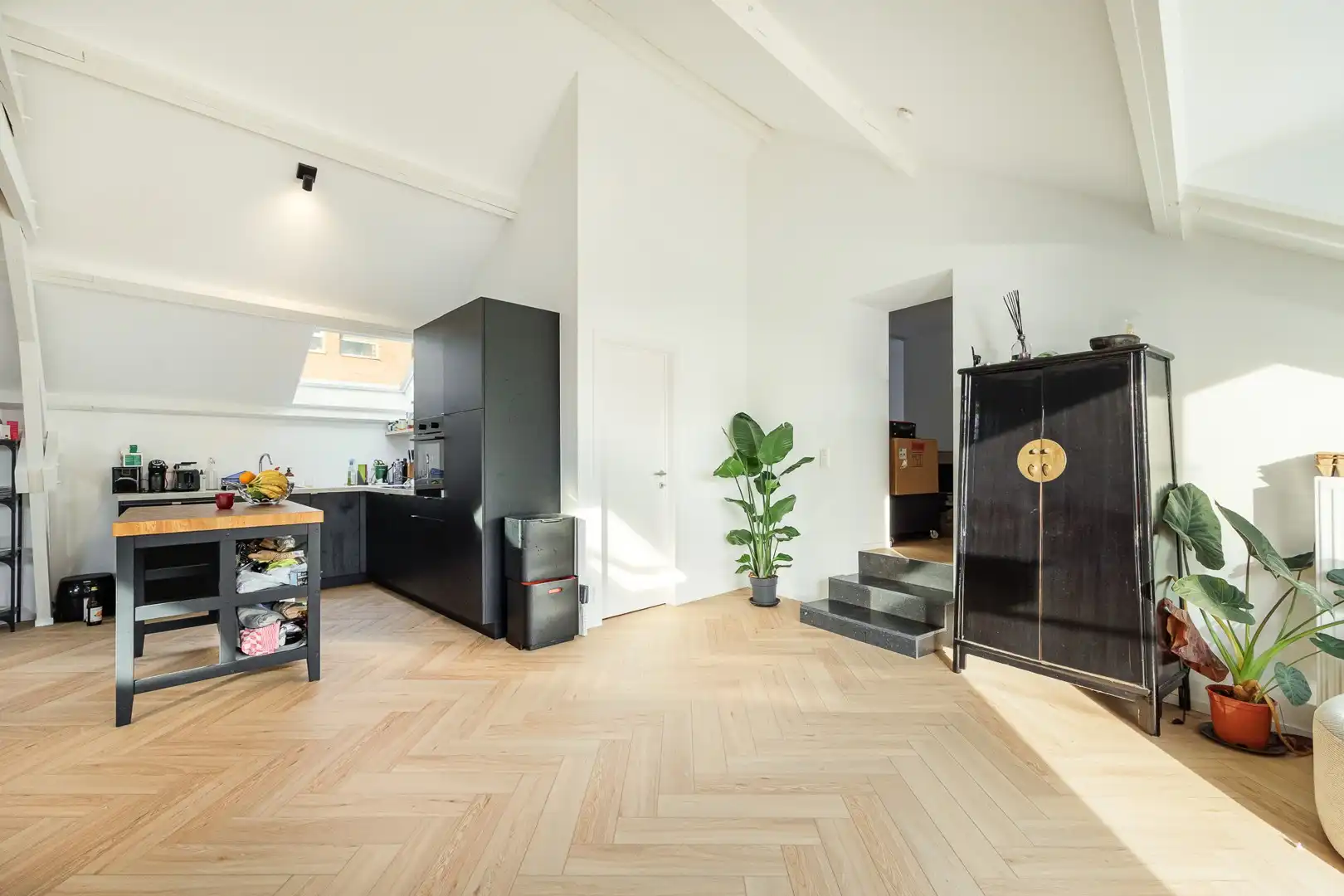 LOFT-PENTHOUS+TERRAS foto 5