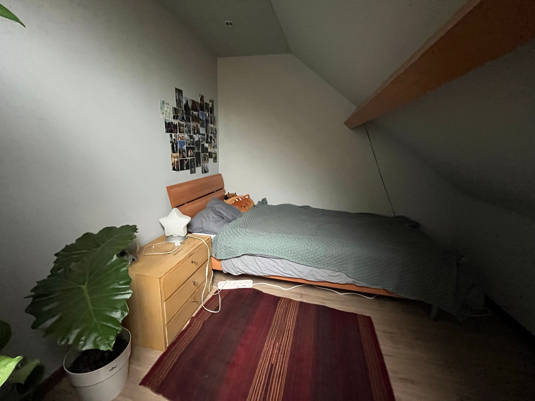Studentenkamer - ONMIDDELIJK VRIJ foto 6