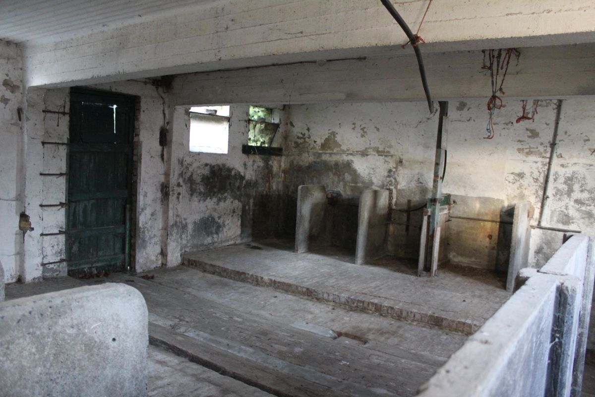 Hoevetje met residentiële woning en stallen te koop op 1 ha te Staden en Hooglede foto 10