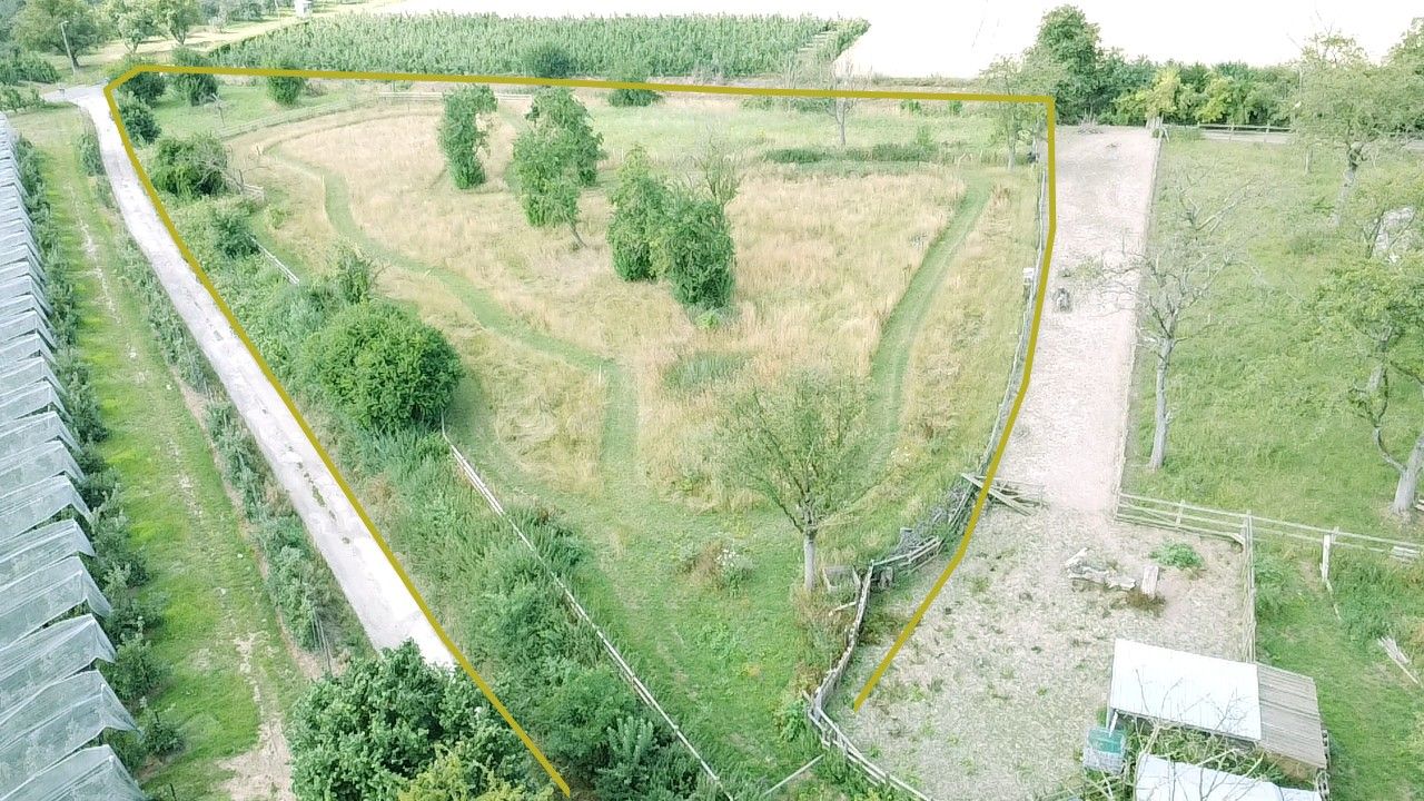 Uitgestrekte paardenweide van 68a 17ca – volledig omheind en klaar voor gebruik foto {{pictureIndex}}