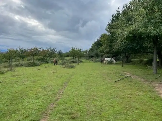 Bouwland/Boomgaard Laag/Bos foto 13