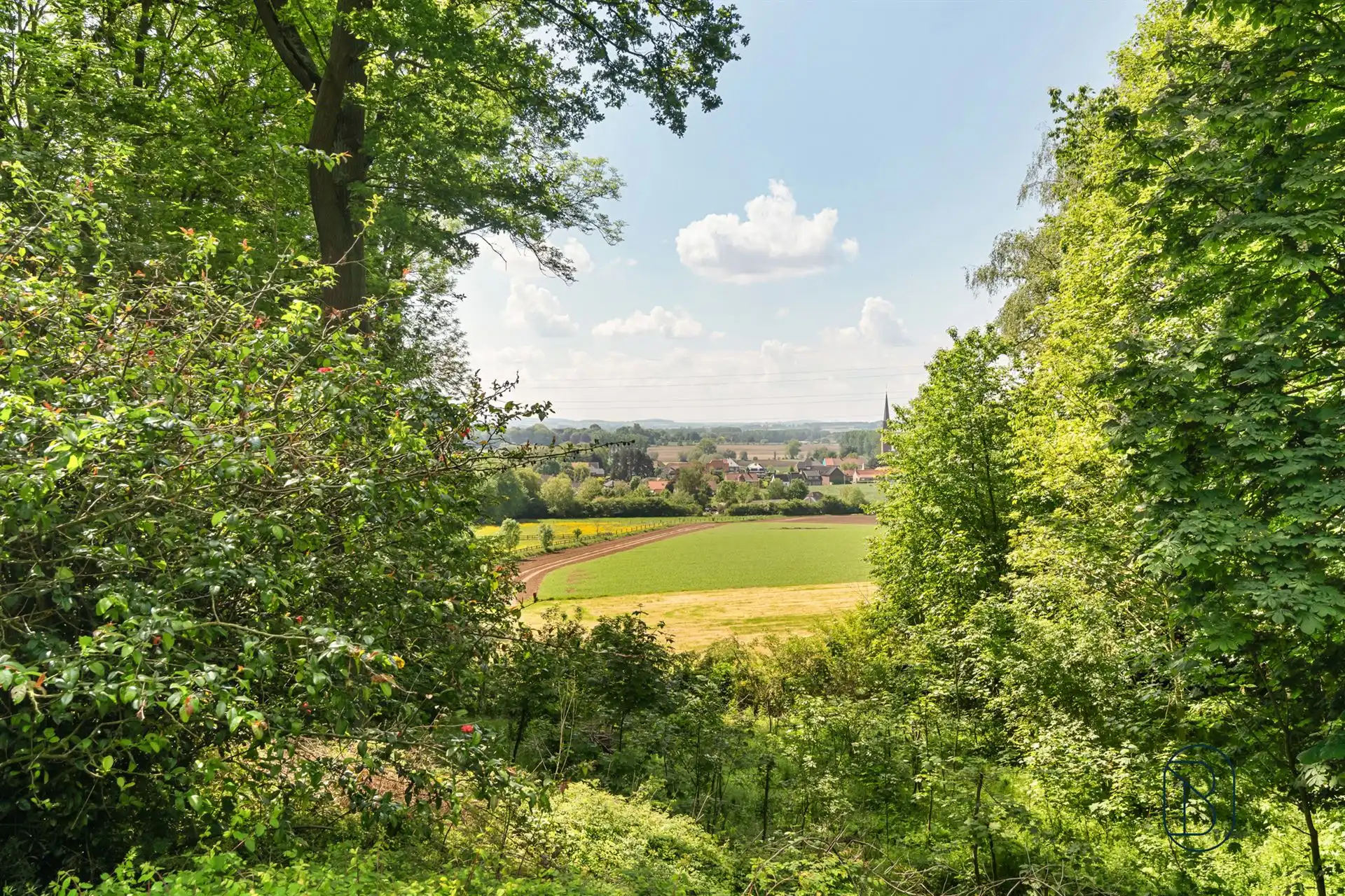 Prachtig landhuis, uniek zicht, op meer dan 1 hectare foto 24